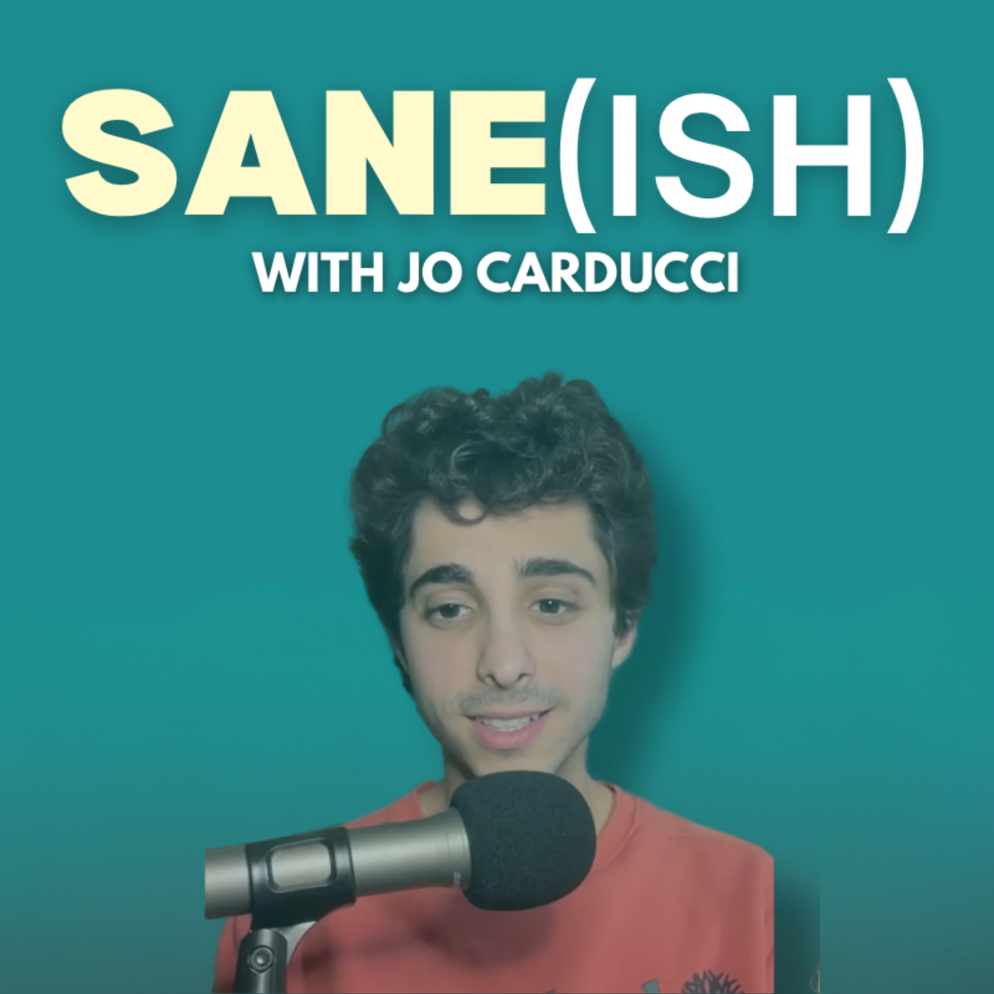 Mobilizing Influence: Reimagining Political Media with Sam Schwartz