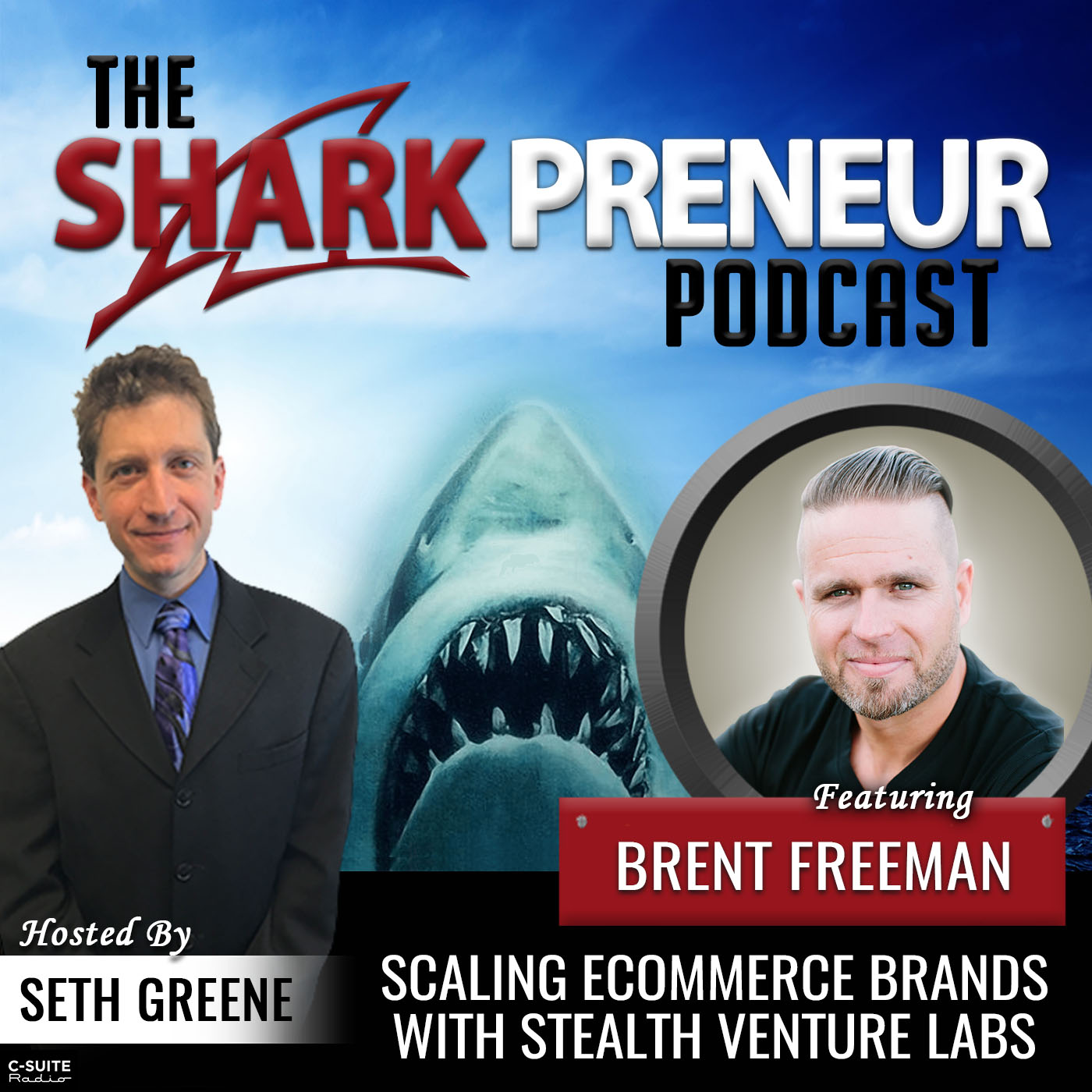 855: Scaling Ecommerce Brands with Stealth Venture Labs with Brent Freeman