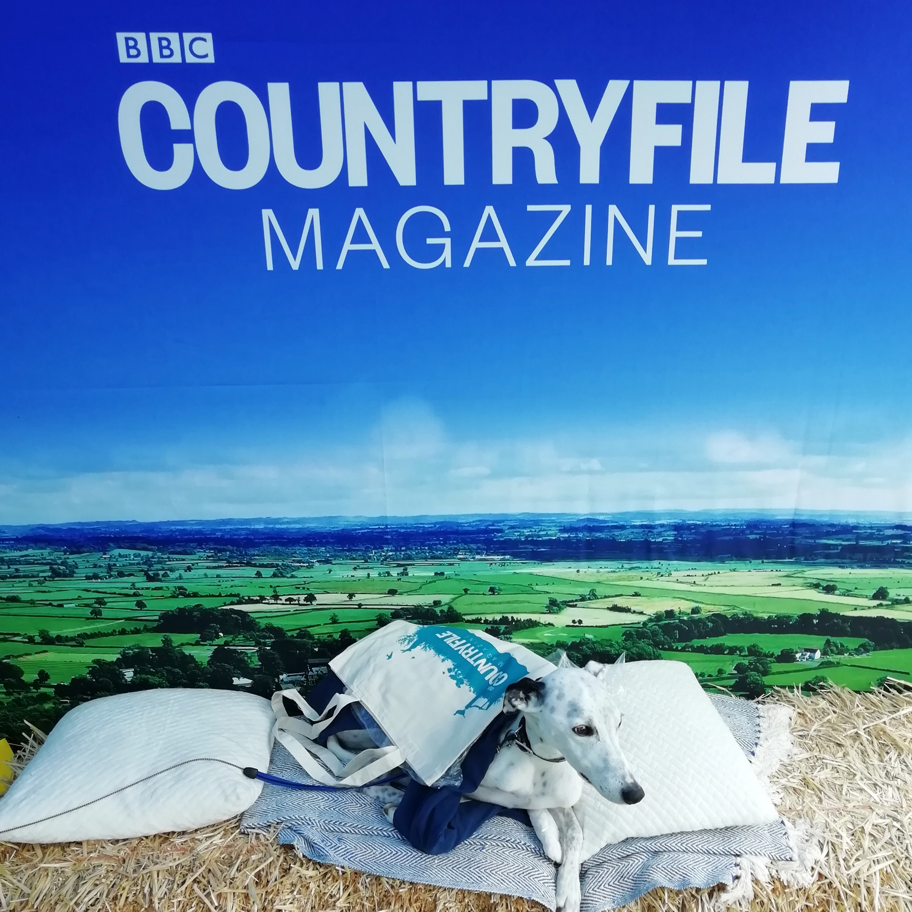 Season 3 is coming: trailer!