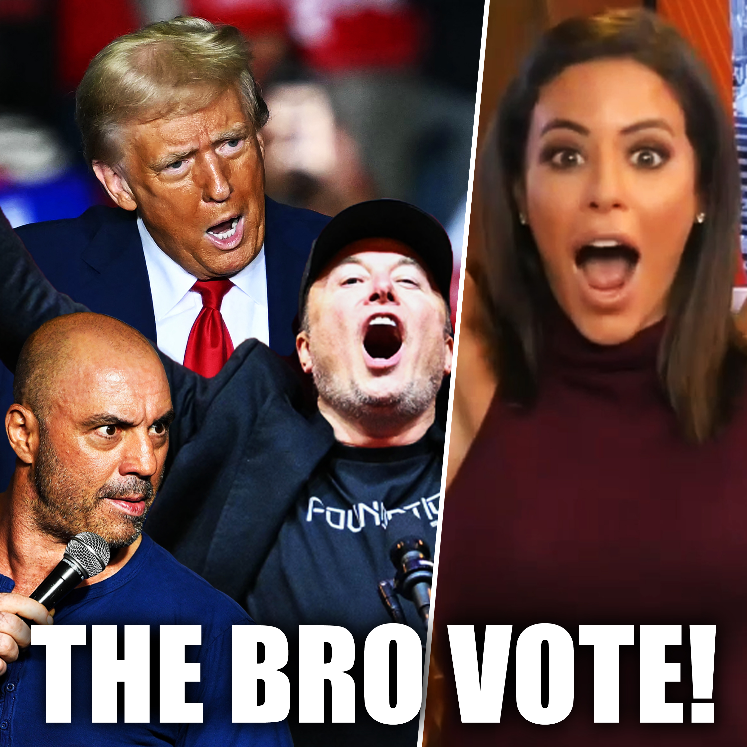 TRUMP WINS, Time To Make America Masculine Again! + Dan Dakich |