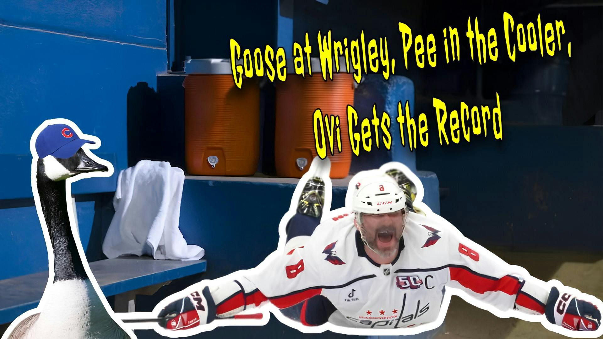 A Goose Takes Over Wrigley, HS Player Pees in Cooler?!, Budweiser Shades Ovechkin A Goose Takes Over Wrigley, HS Player Pees in Cooler?!, Budweiser Shades Ovechkin