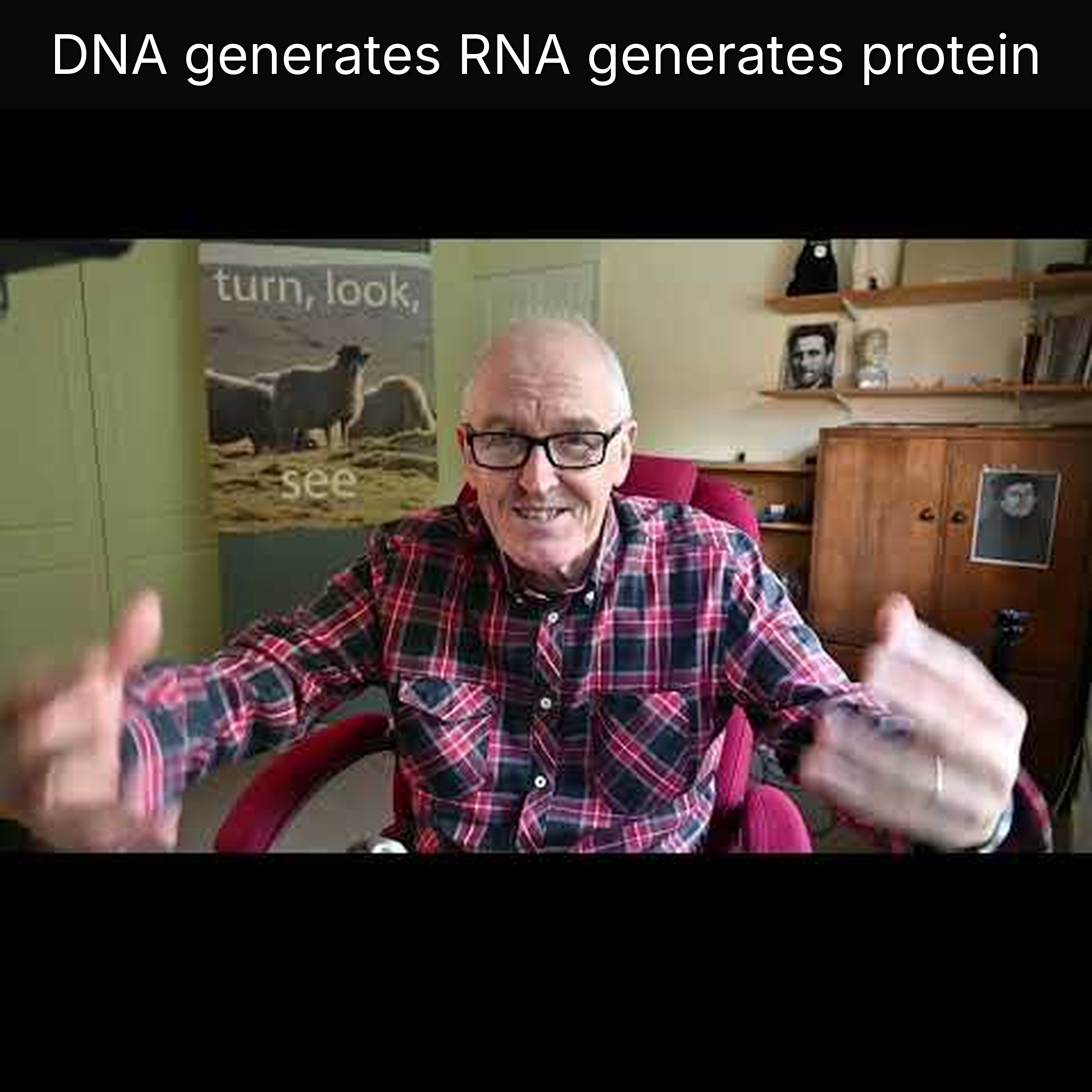 DNA generates RNA generates protein