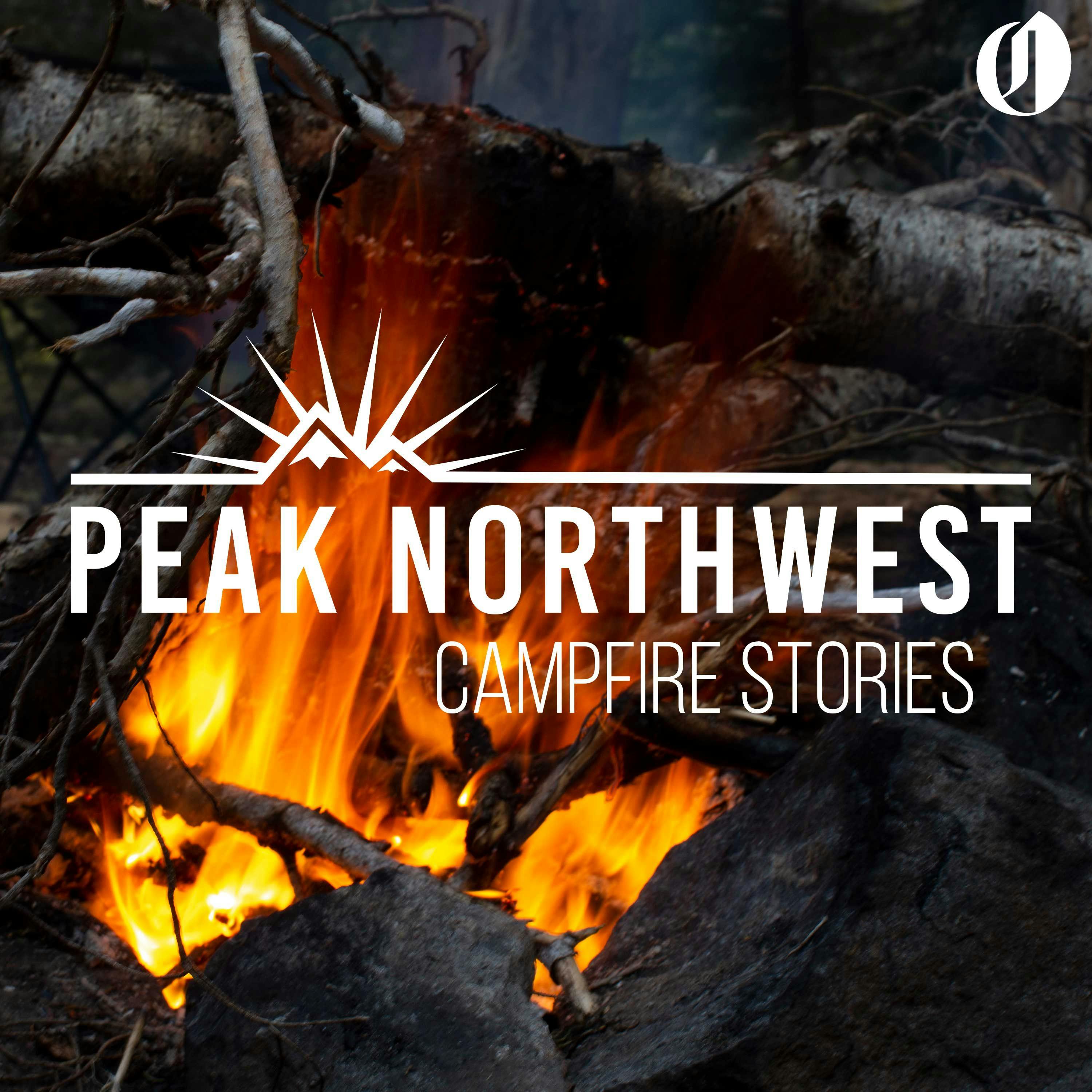 Campfire stories: Our unforgettable animal encounters