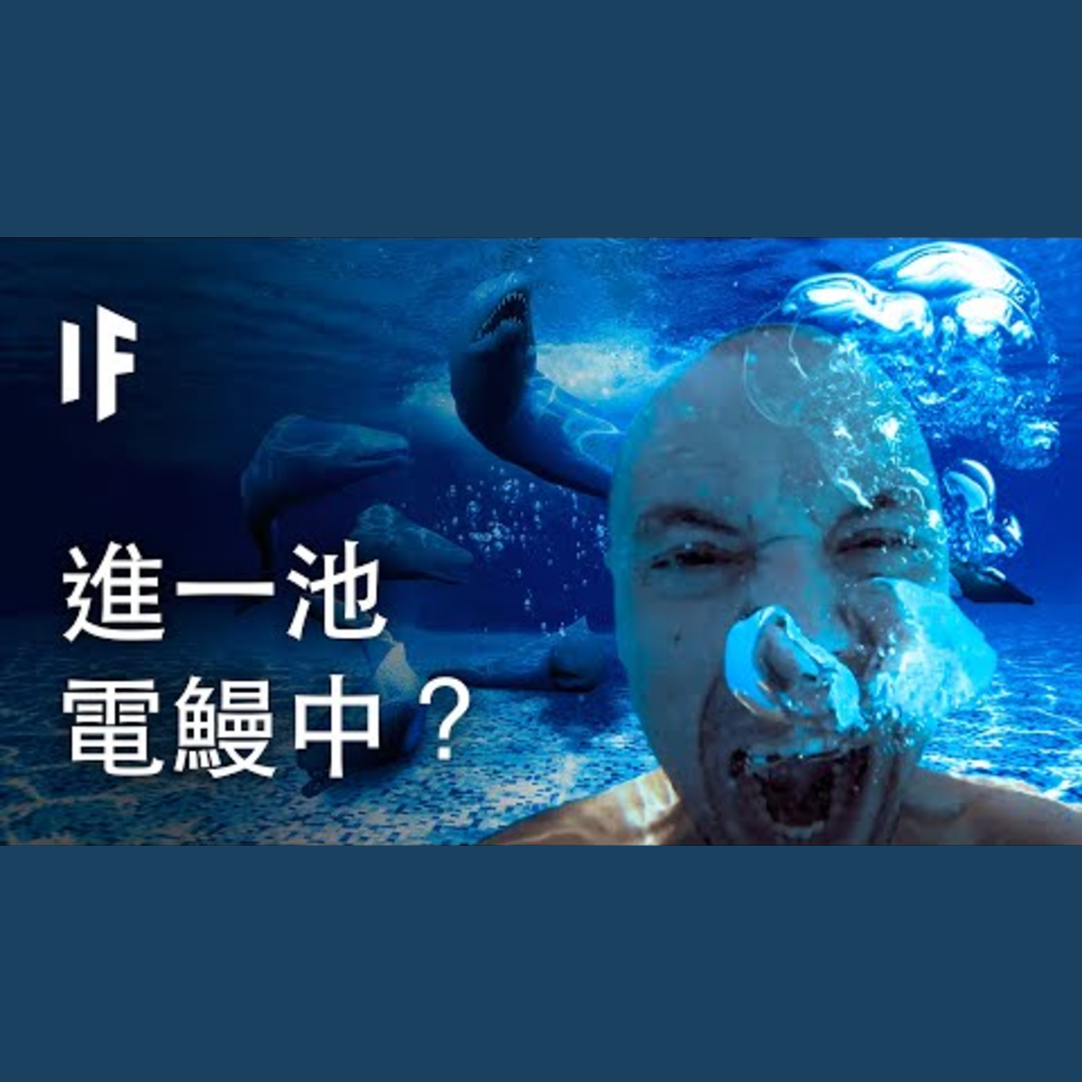 如果你掉進一池電鰻中？| 大膽科學 episode artwork