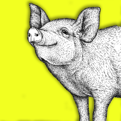 Darf man Tiere essen? episode artwork