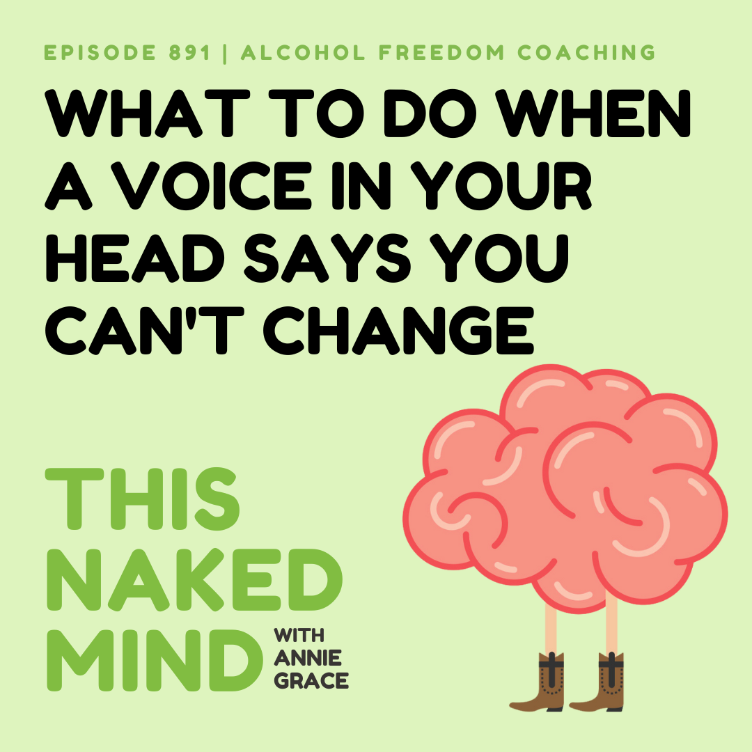 What To Do When A Voice In Your Head Says You Can't Change | Alcohol Freedom Coaching | EP 891