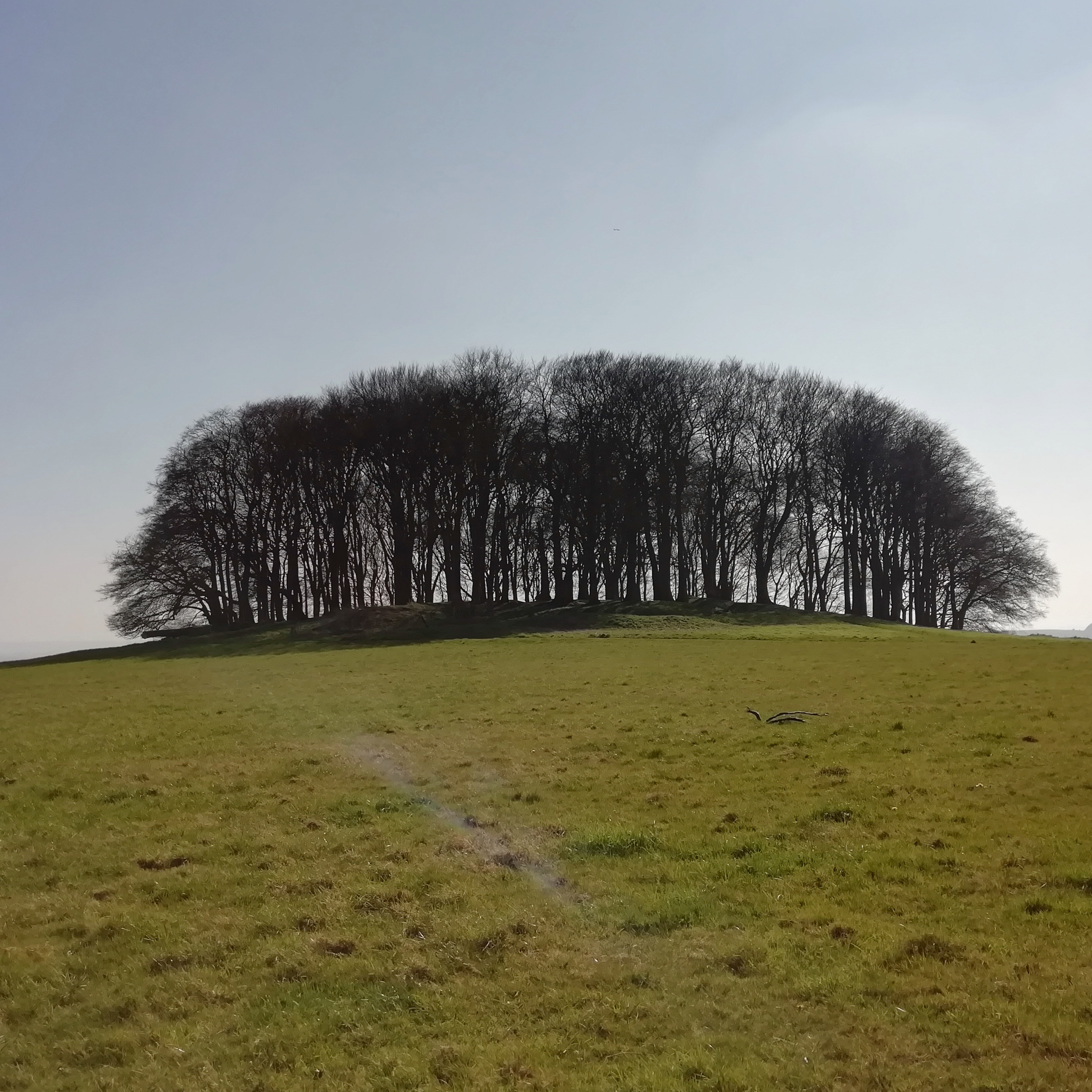 13. Explore a mysterious ancient site in Wiltshire – plus amazing spring birdsong