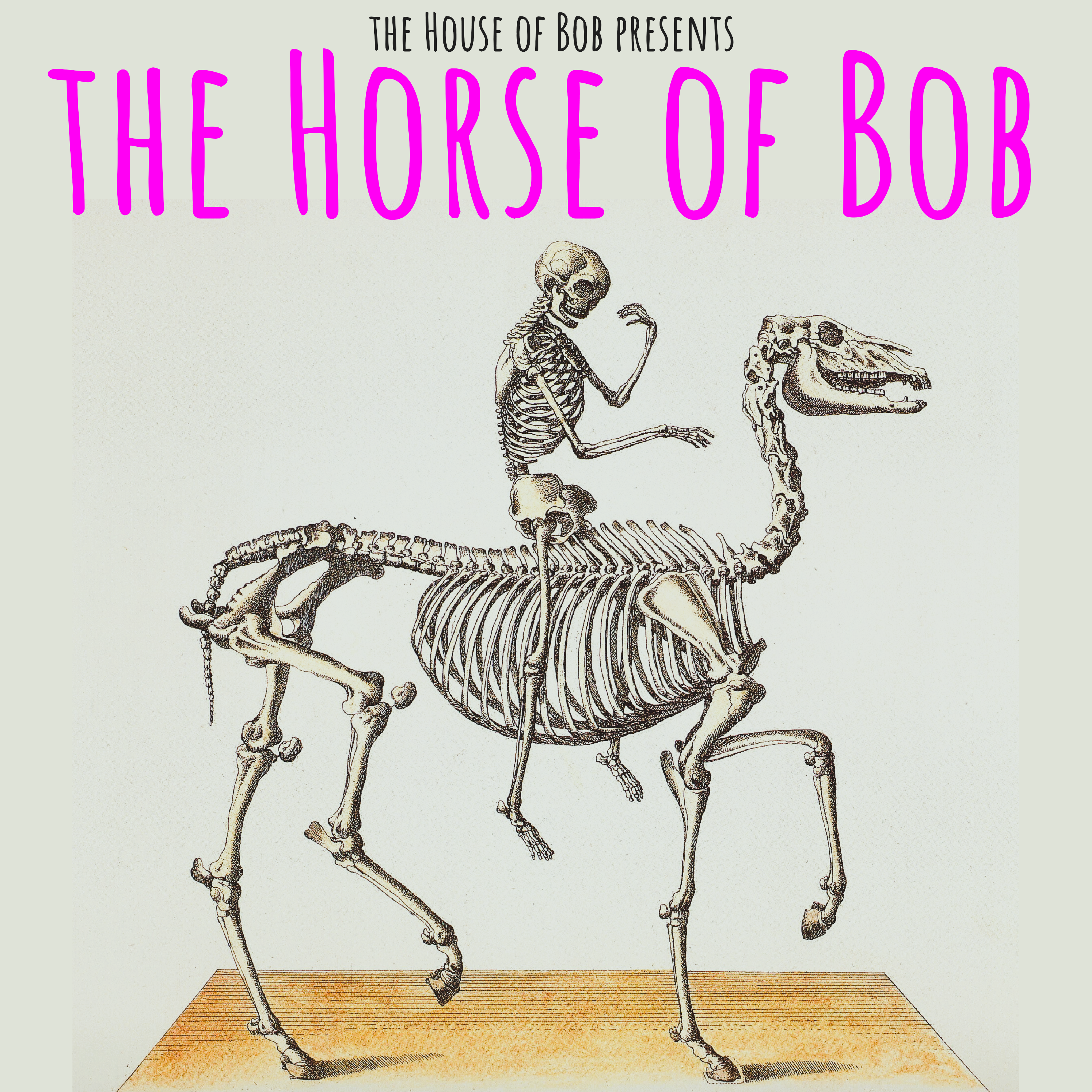 House of Bob