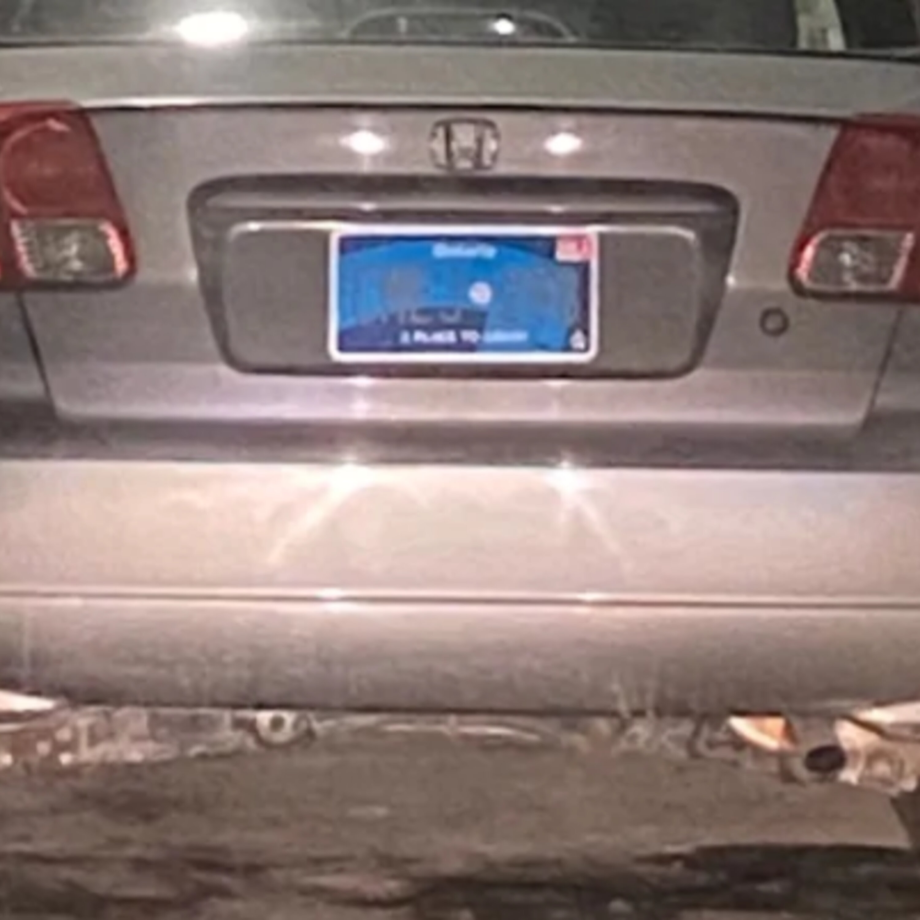 The New License Plates And The Bachelor Was Good Last Night episode artwork