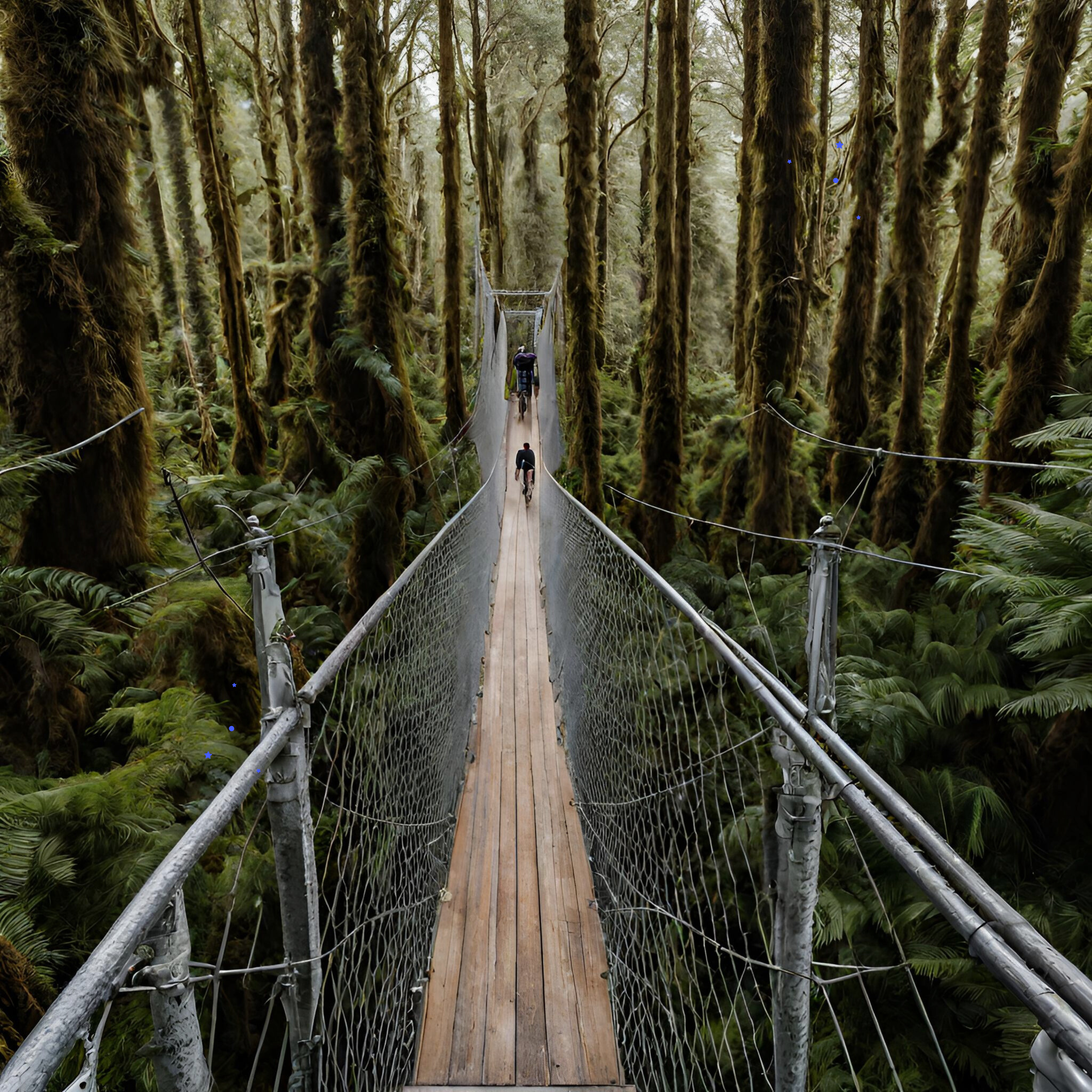 New Zealand Nature Trail [Bee Breath]