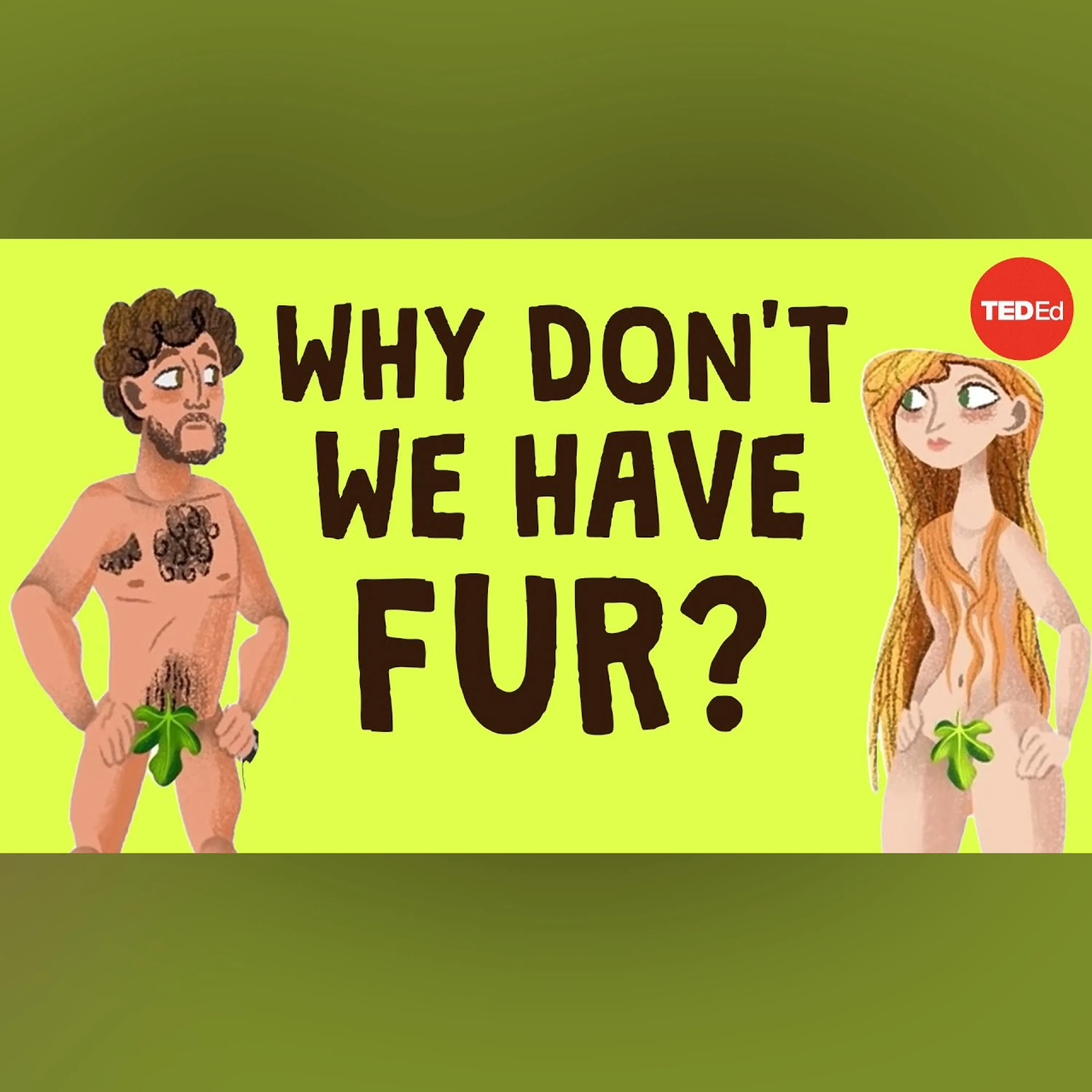 Why do we have hair in such random places? - Nina G. Jablonski