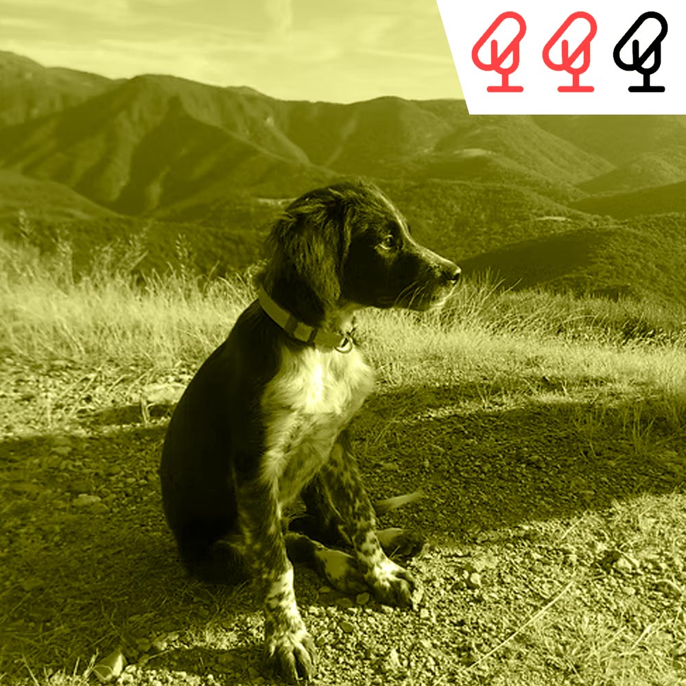 1208: Reconocimiento a Sandfall Interactive, lanzamientos de la semana