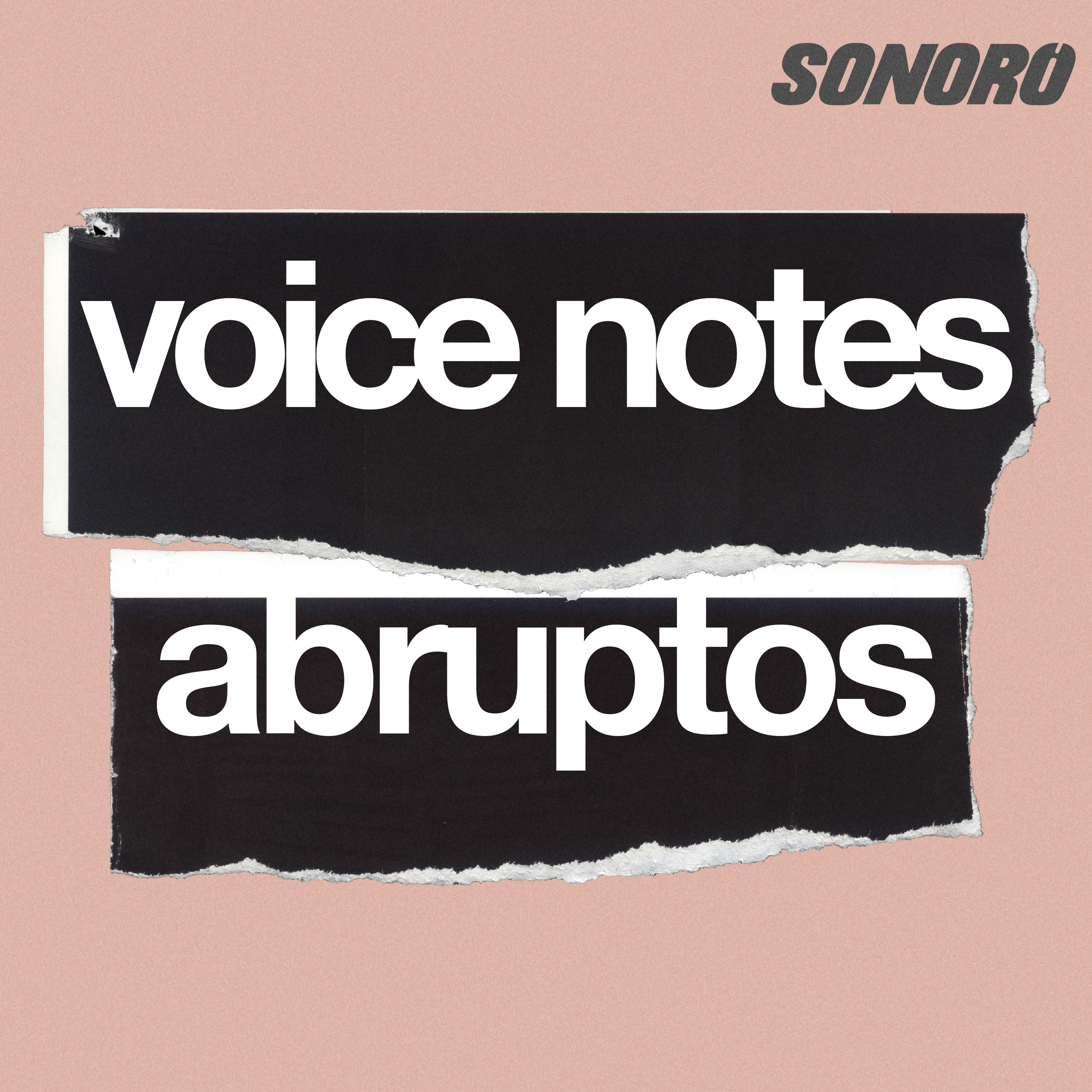 Lee esto en combo, "Meditaciones" de Marco Aurelio y Gato Aurelio | Voice Notes Abruptos