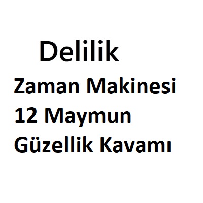 Zaman Makinesi, 12 Maymun, Güzellik Kavramı