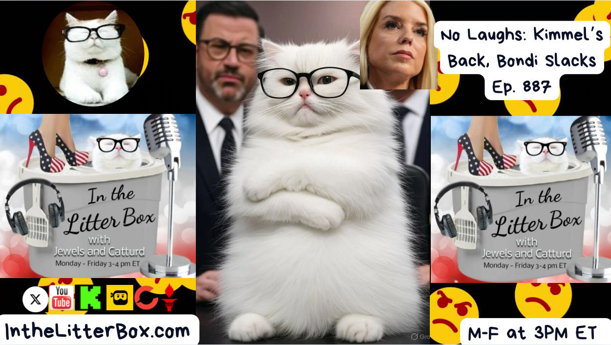 No Laughs: Kimmel's Back, Bondi Slacks | In the Litter Box w/ Jewels & Catturd – Ep. 887 9/23/2025