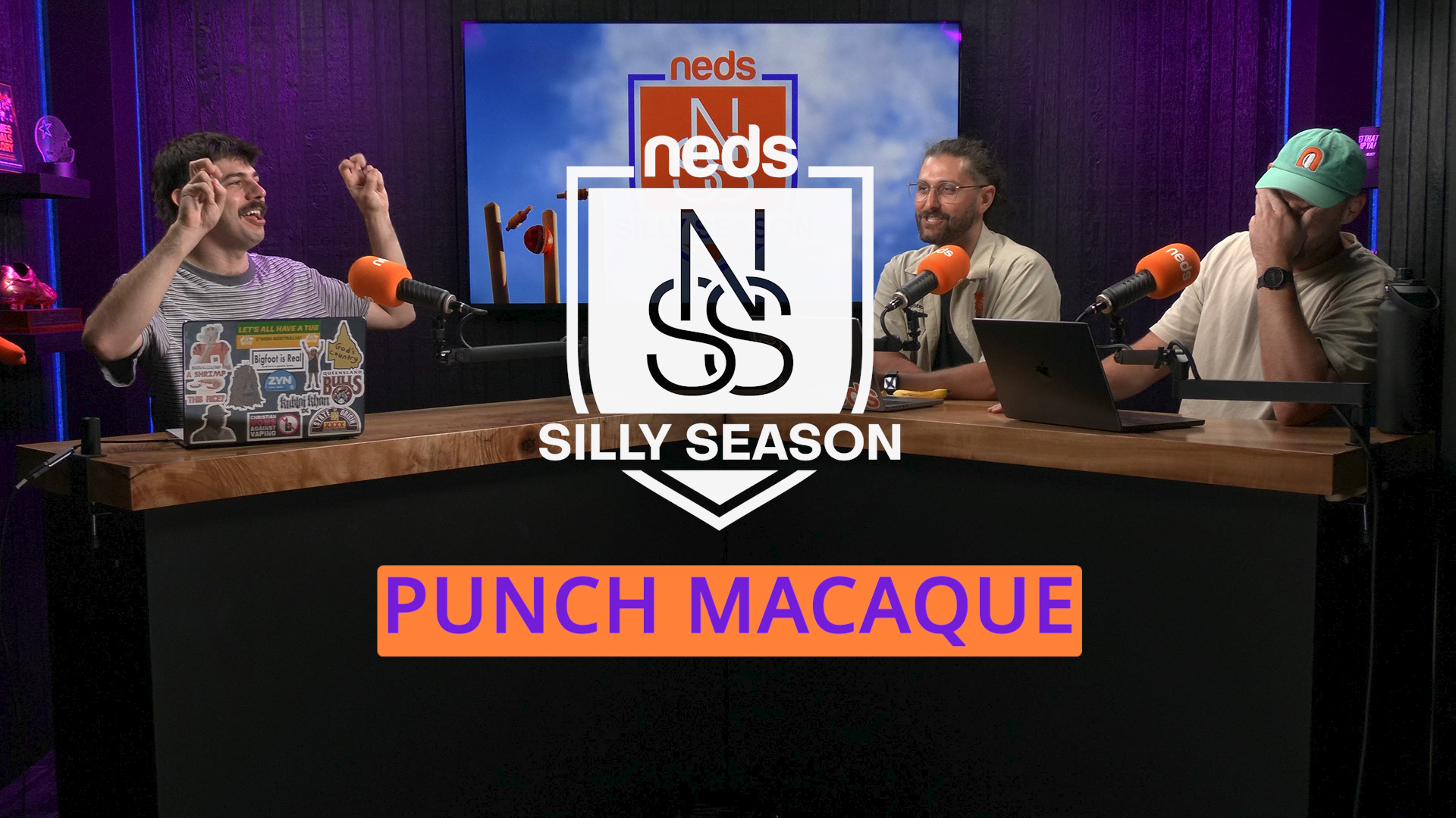 Punch Macaque episode artwork