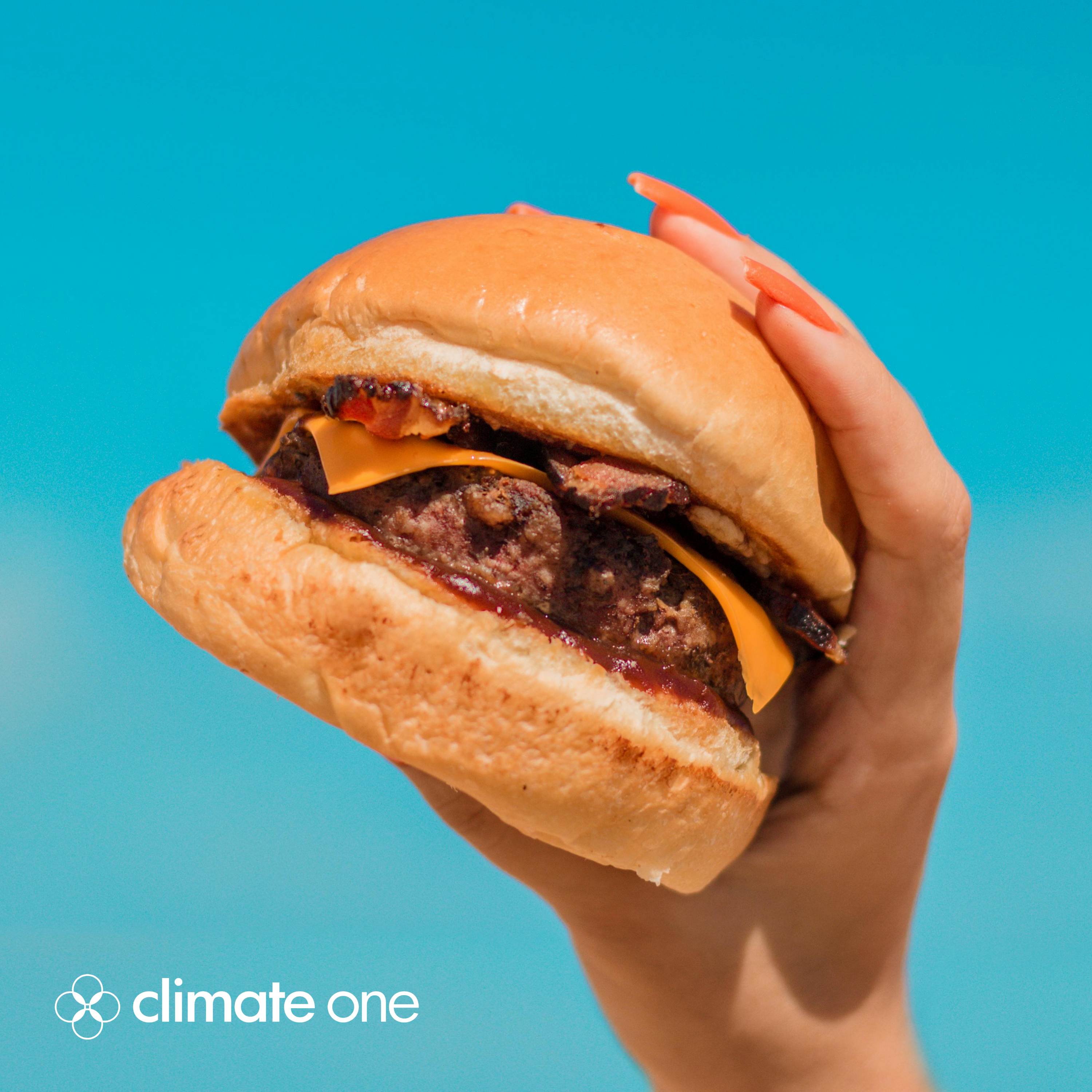 Medium Rare: What’s Next For Meat?