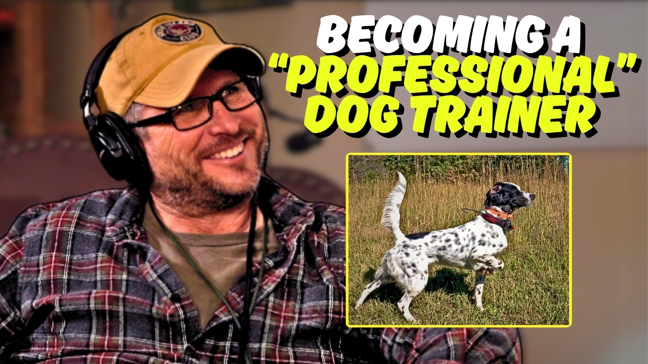 306.  Professional Advice on "Professional" Dog Training