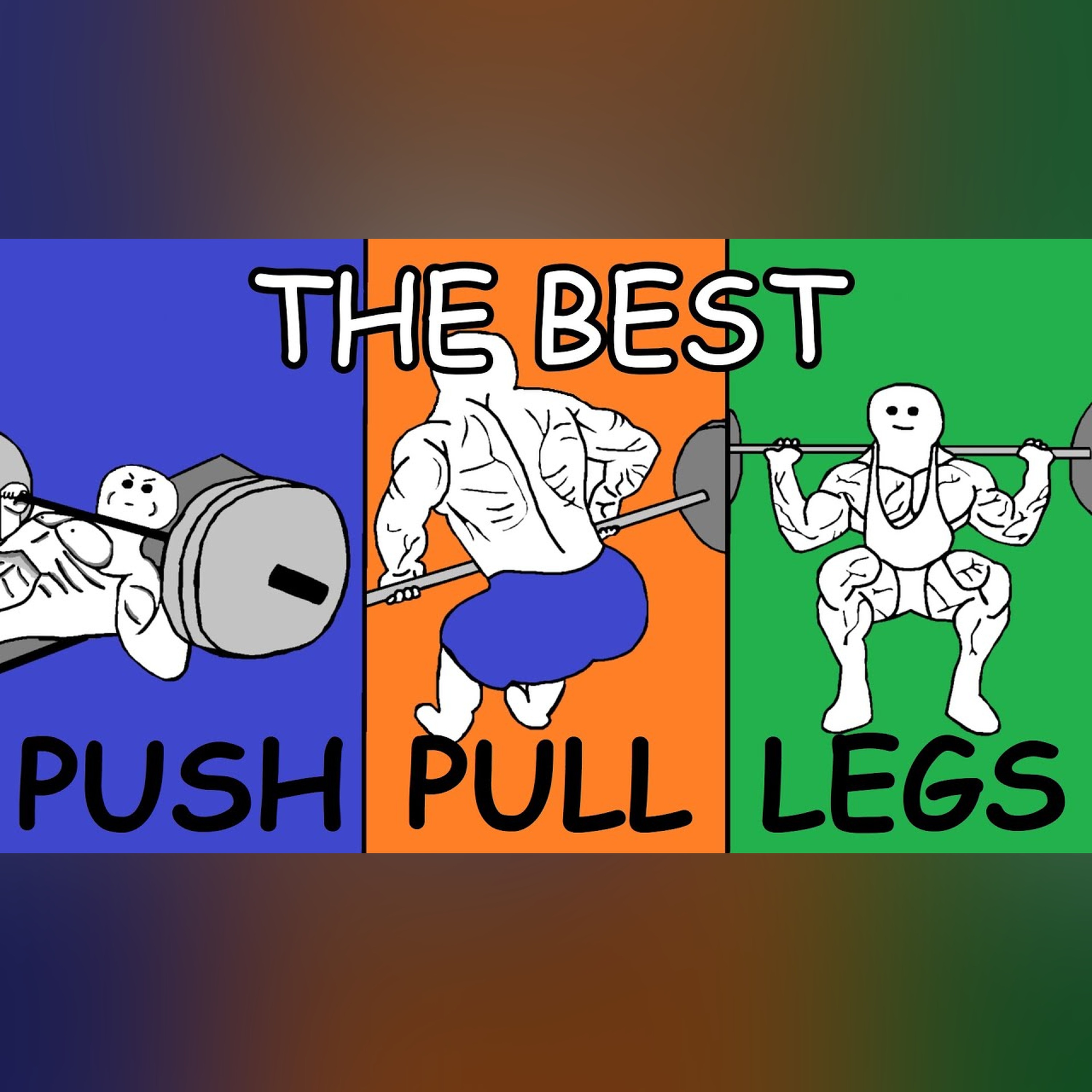 Bodybuilding Simplified: Push Pull Legs (Full Explanation + Free Training Plan) episode artwork