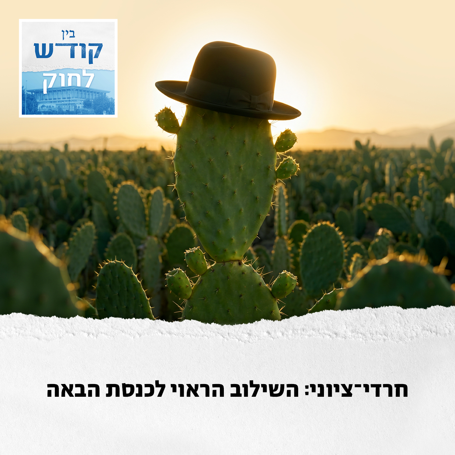 חרדי-ציוני: השילוב הראוי לכנסת הבאה episode artwork