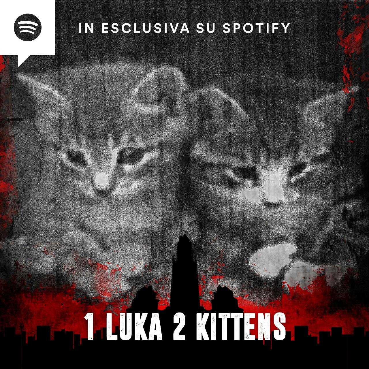 1 Luka 2 Kittens