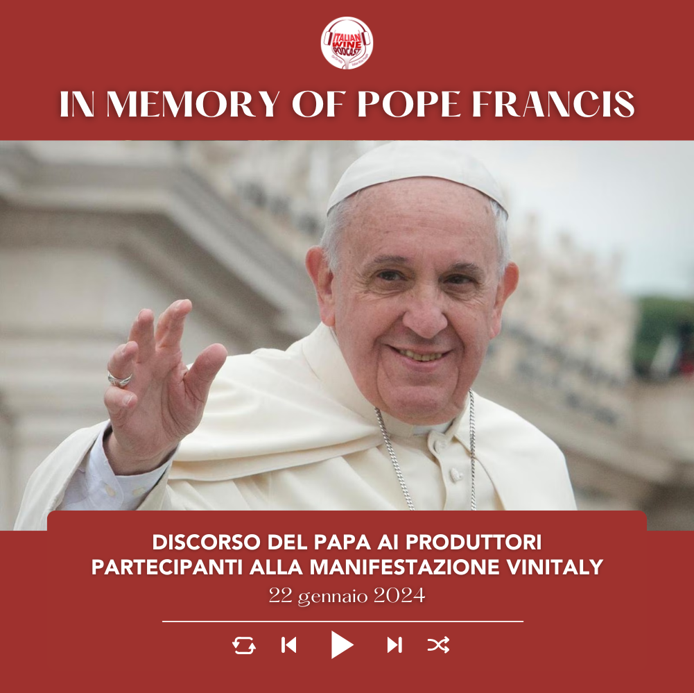 Discorso del papa ai produttori partecipanti alla manifestazione Vinitaly