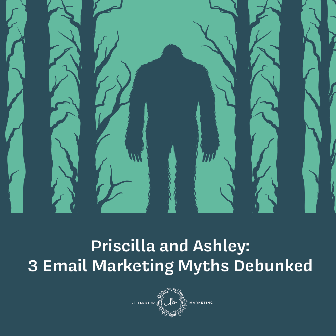 Ponderings from the Perch