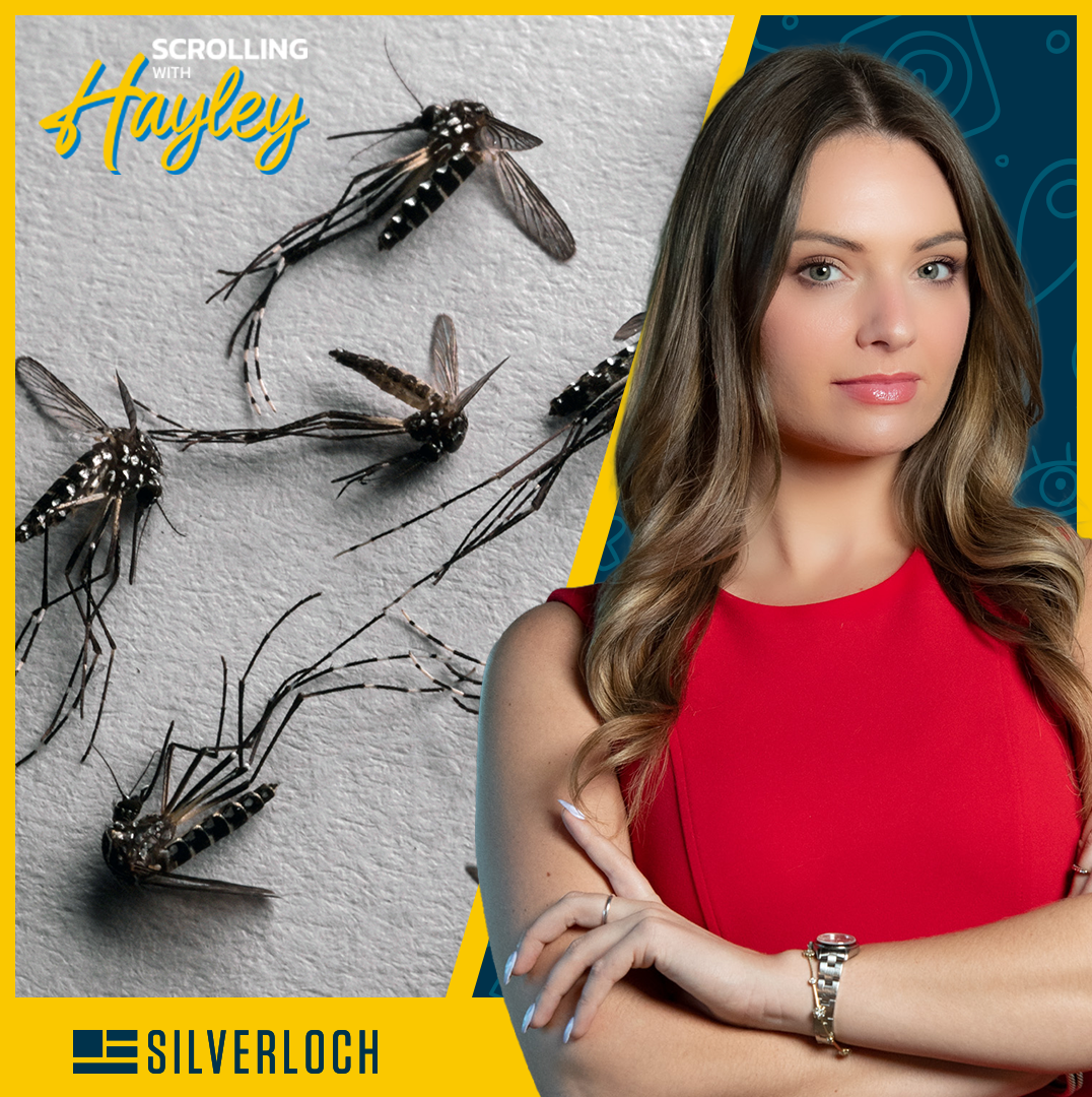 Google Wants To Unleash 32M Mosquitos in the US?!