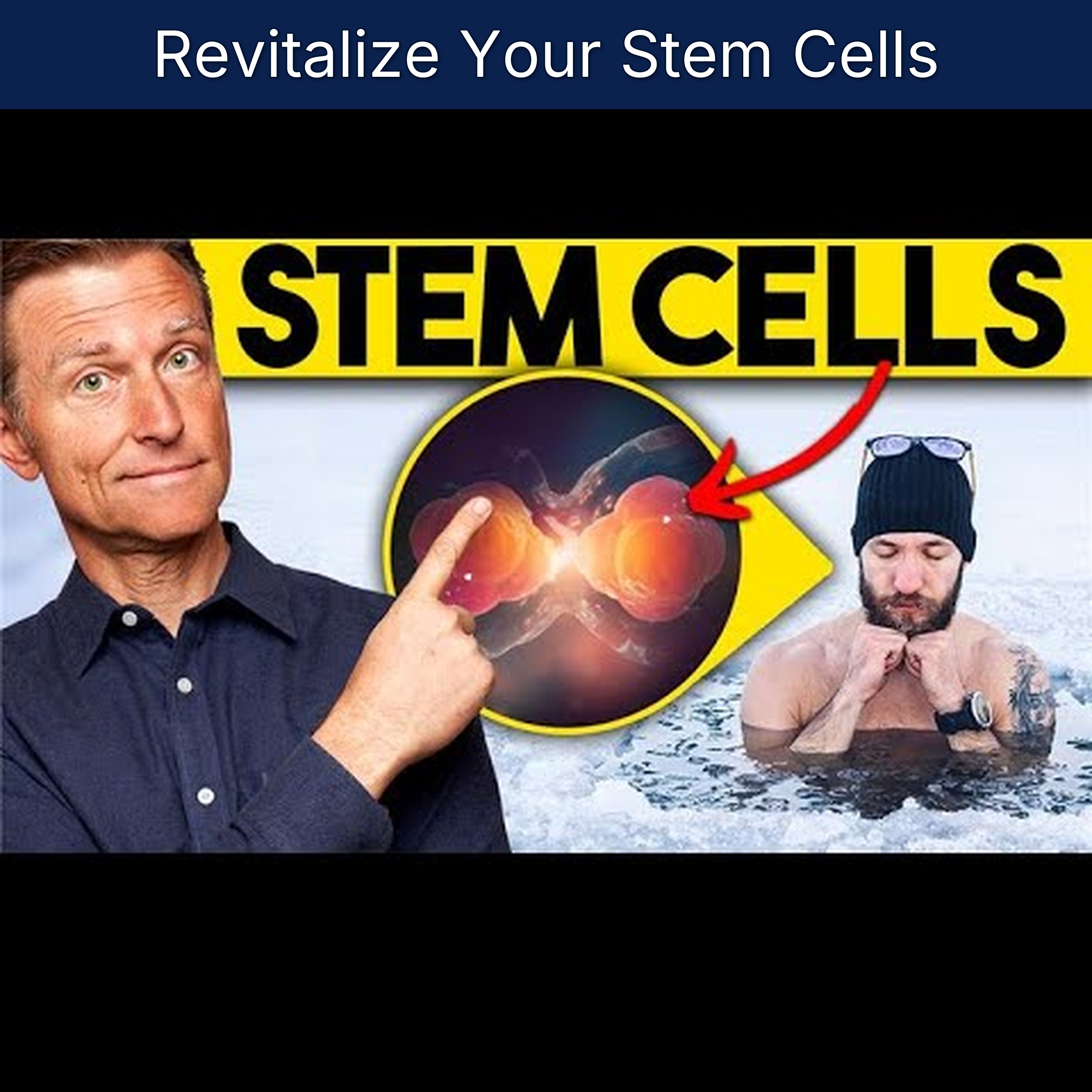 Revitalize Your Stem Cells episode artwork