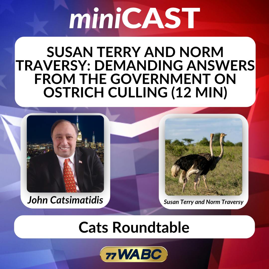 Susan Terry and Norm Traversy: Demanding Answers from the Government on Ostrich Culling (12 min) Susan Terry and Norm Traversy: Demanding Answers from the Government on Ostrich Culling (12 min)