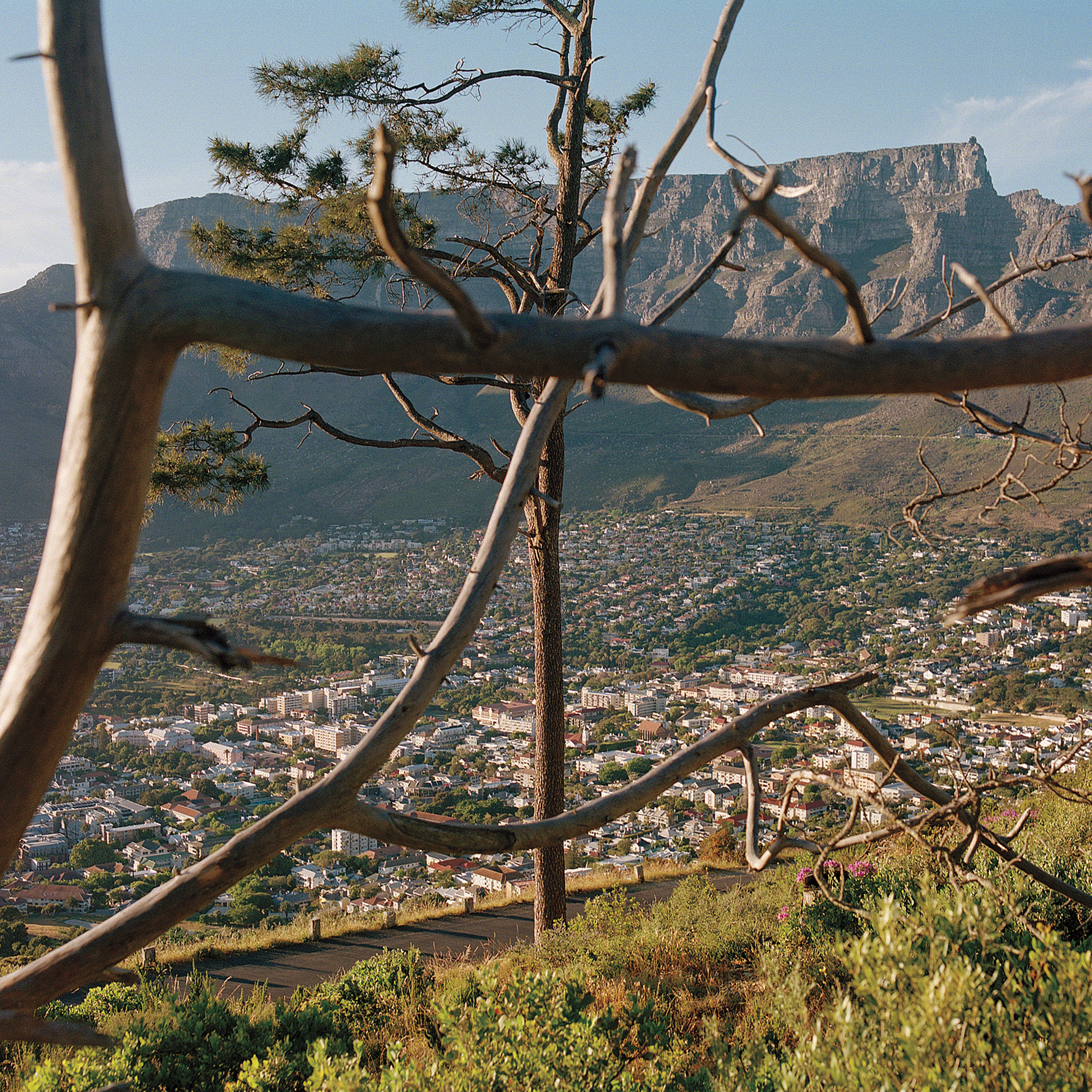 The City Where Coetzee Is God episode artwork