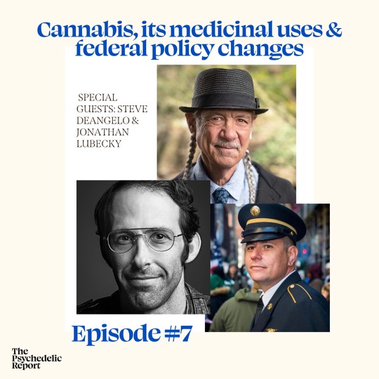 The Psychedelic Report