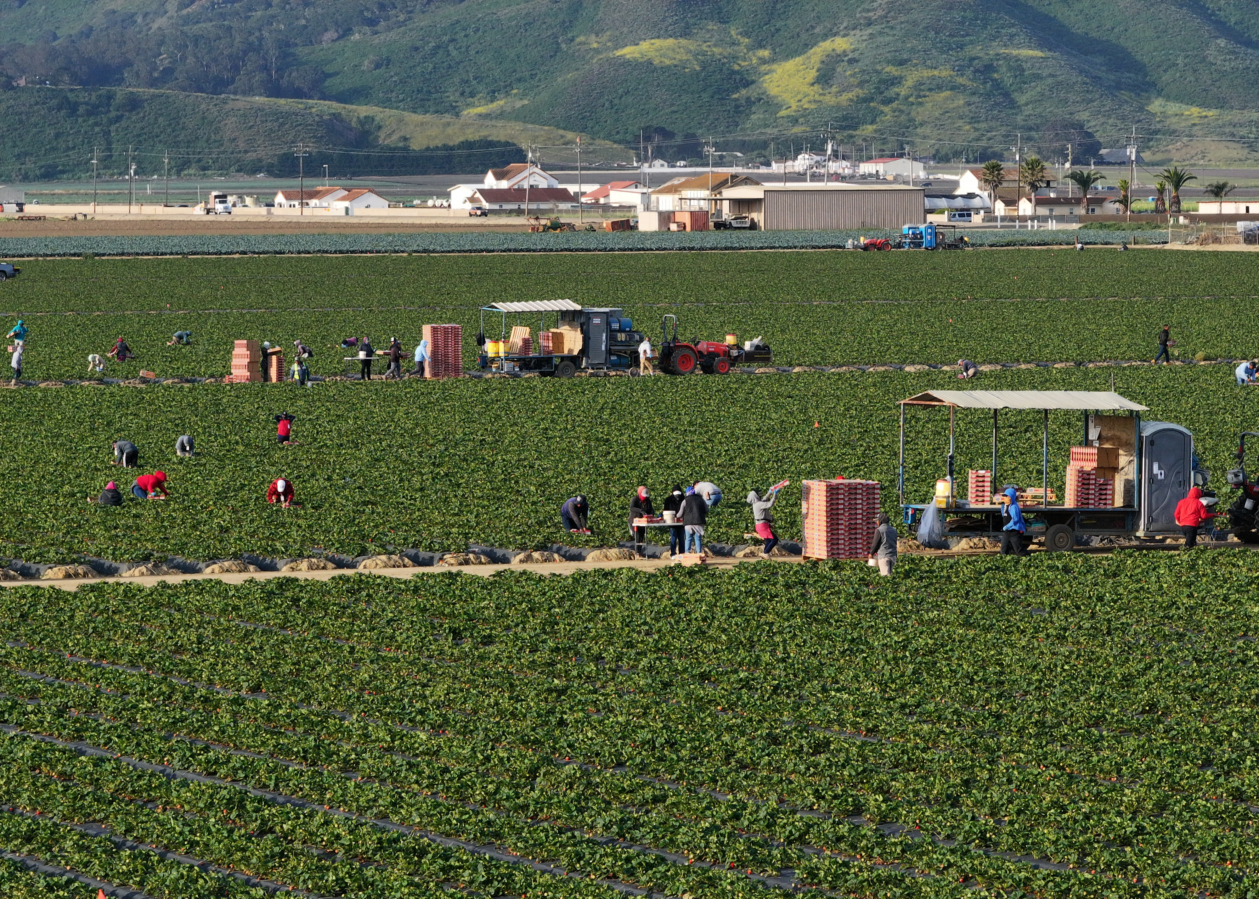Failure to Pass Farm Bill Leaves California Agricultural Industry in Limbo