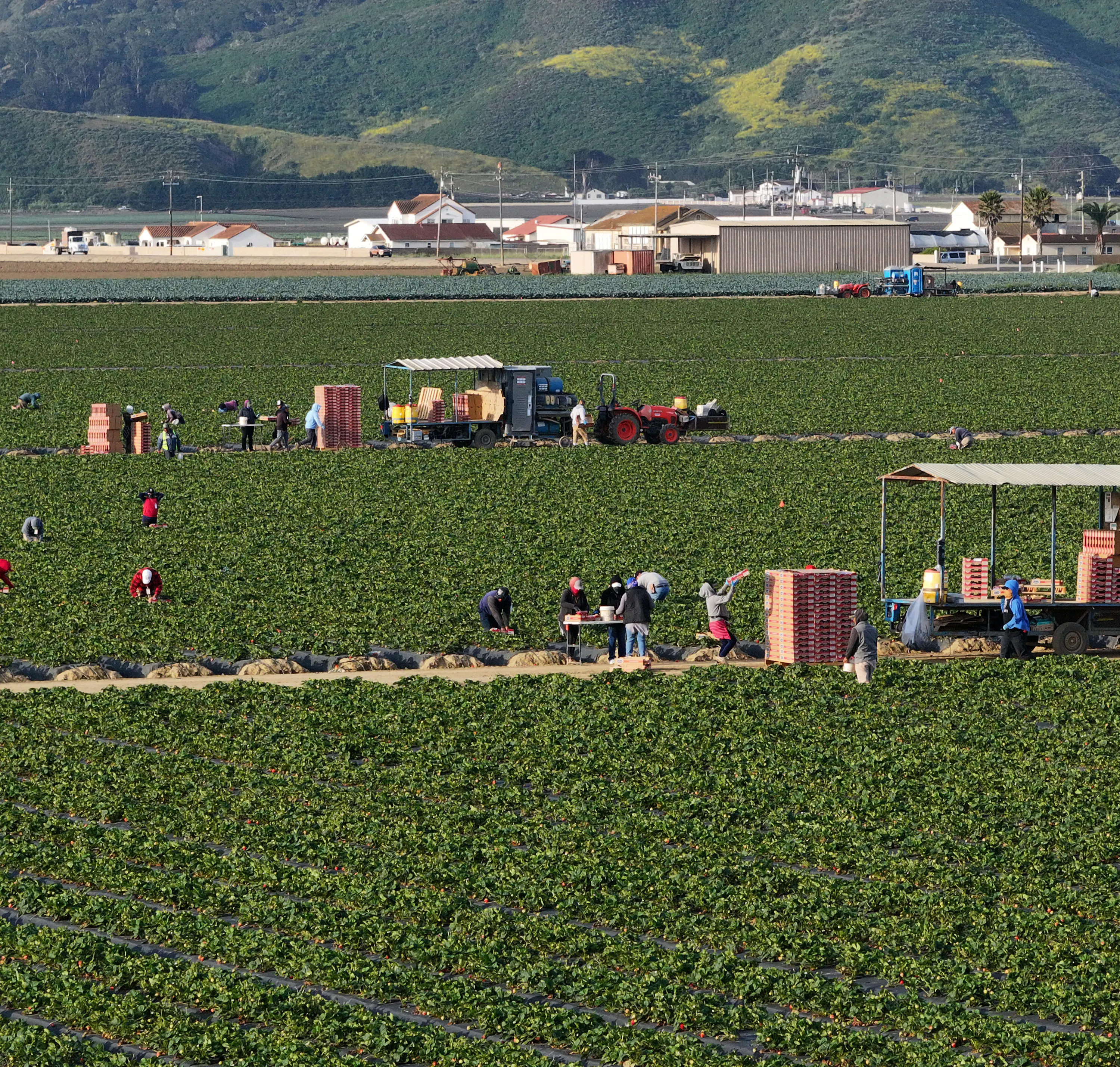 Failure to Pass Farm Bill Leaves California Agricultural Industry in Limbo