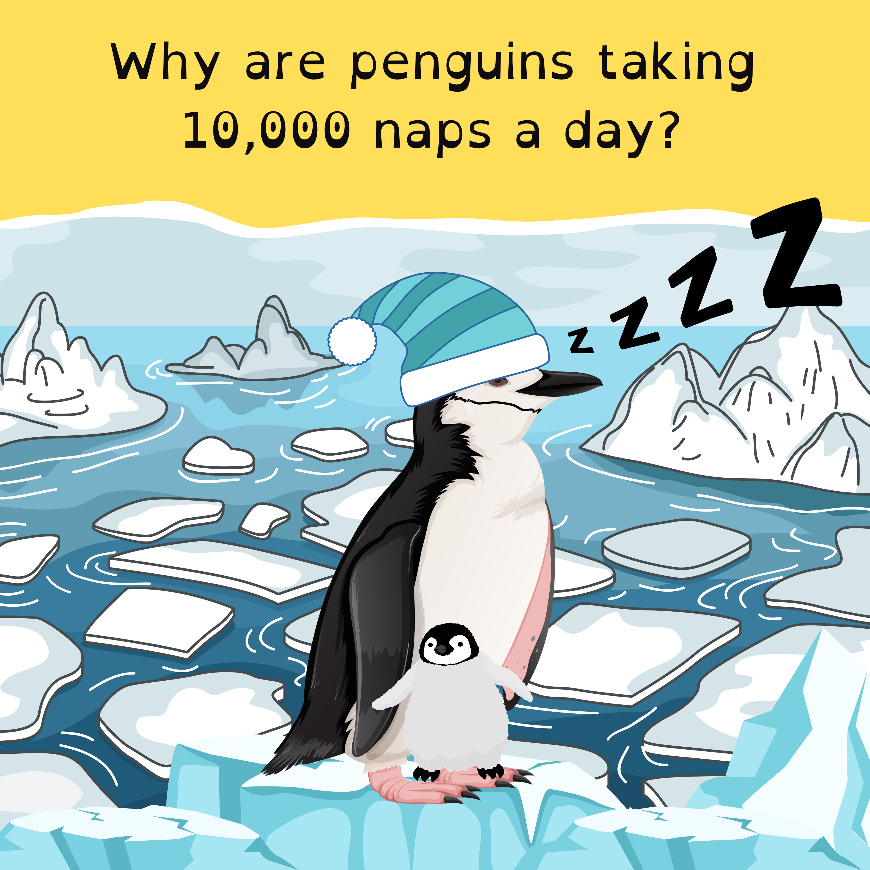 New Hall of Fame sporting heroes; tourists take to extraordinary heights; penguin parents power nap; and a Bluey bonanza for Brisbane.
