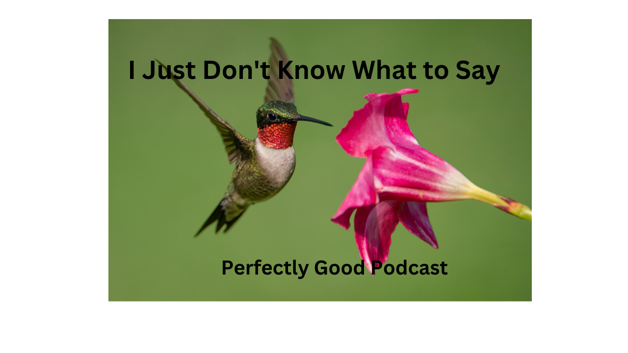 Perfectly Good Podcast - John Hiatt from A to Z