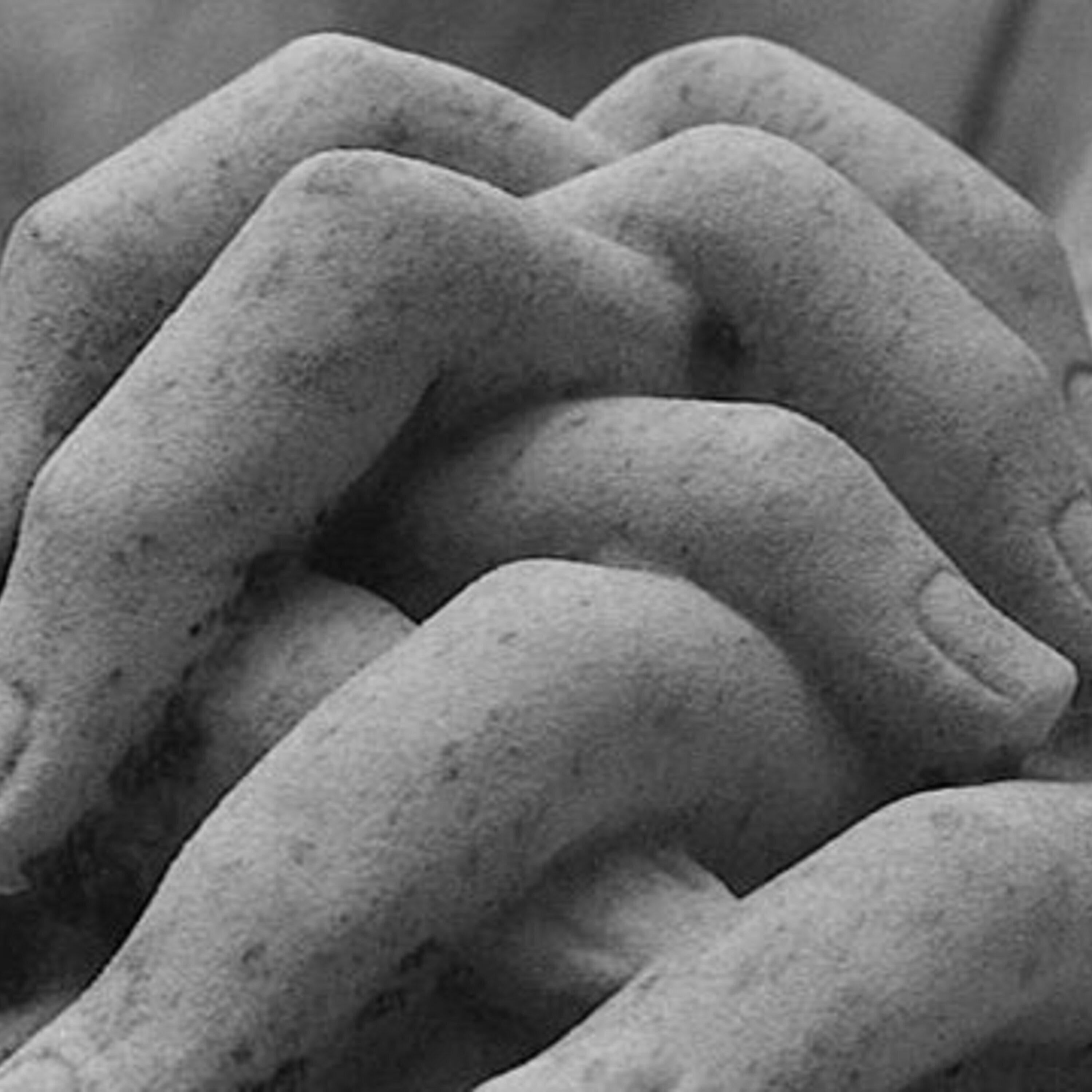 Gendered brains and a news roundup (21 November 2014)