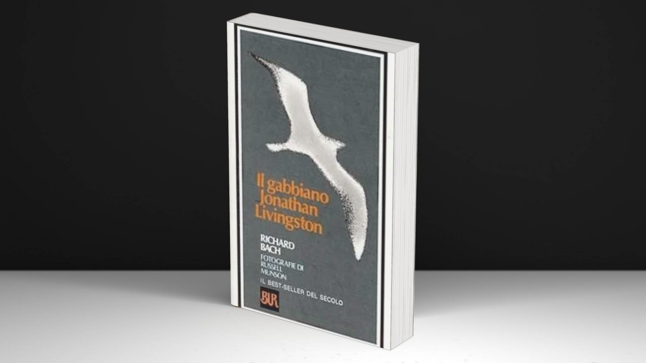 Il Gabbiano Jonathan Livingston - Richard Bach #101