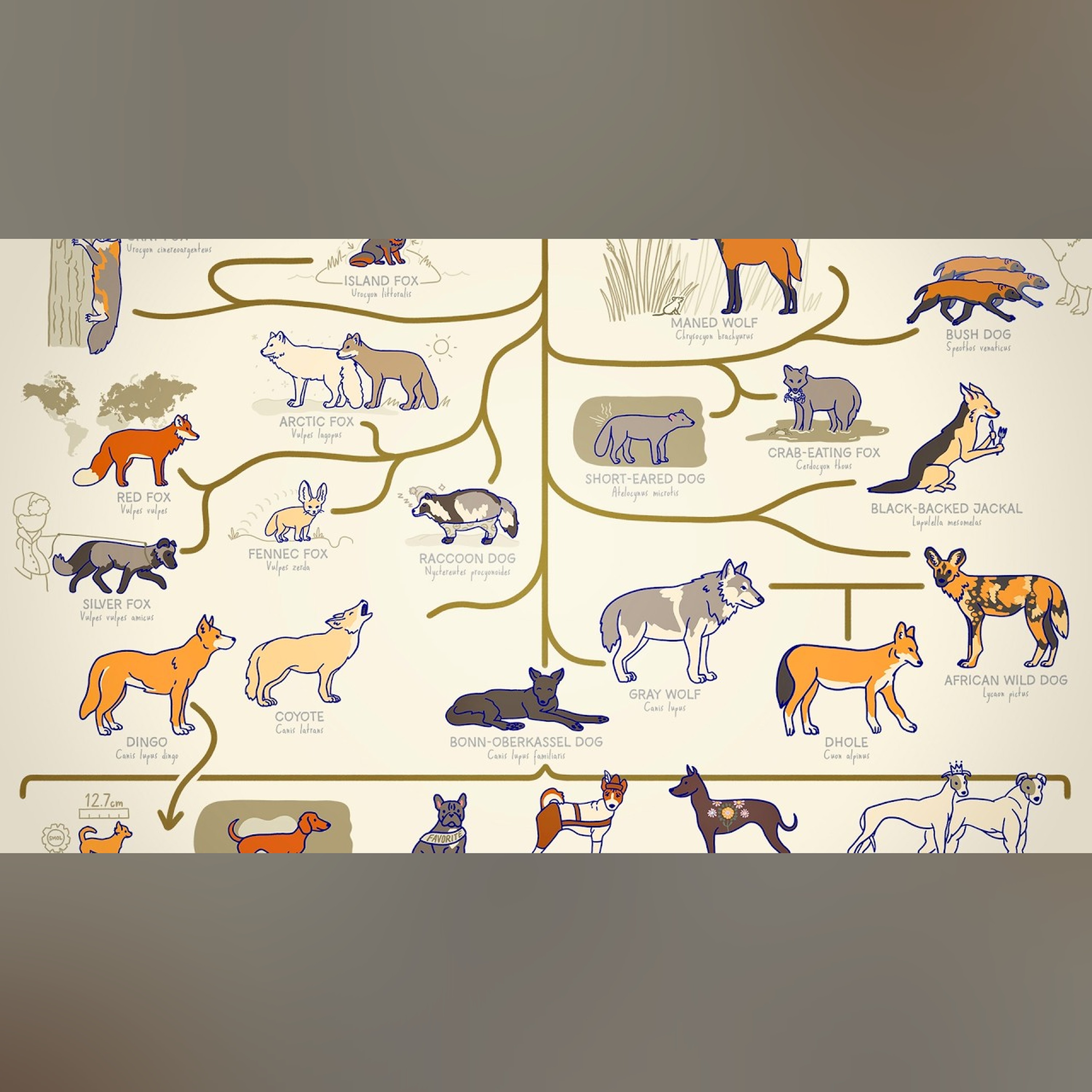 ALL THE DOGS, EXPLAINED episode artwork