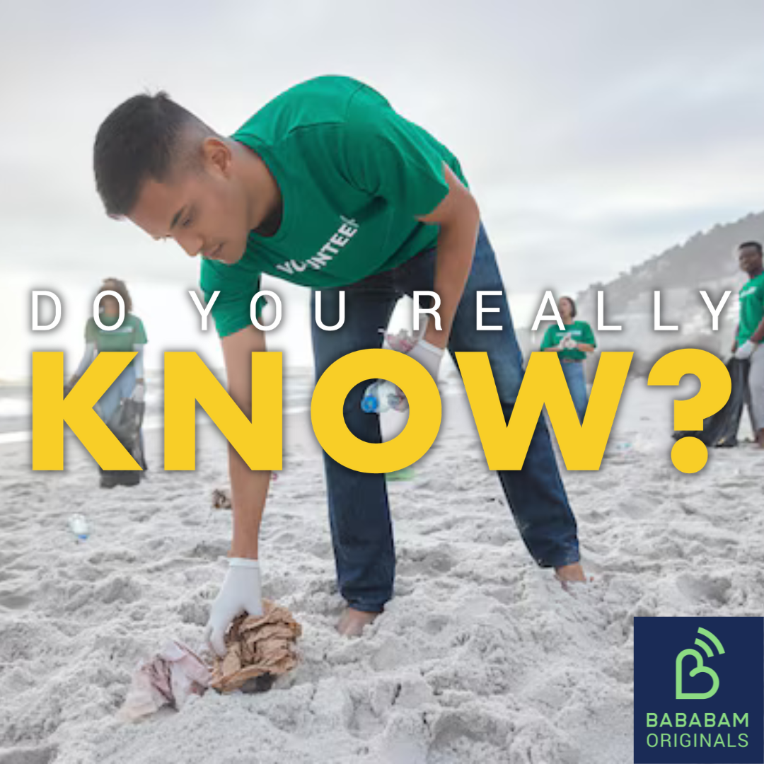 What is an eco-friendly beach?