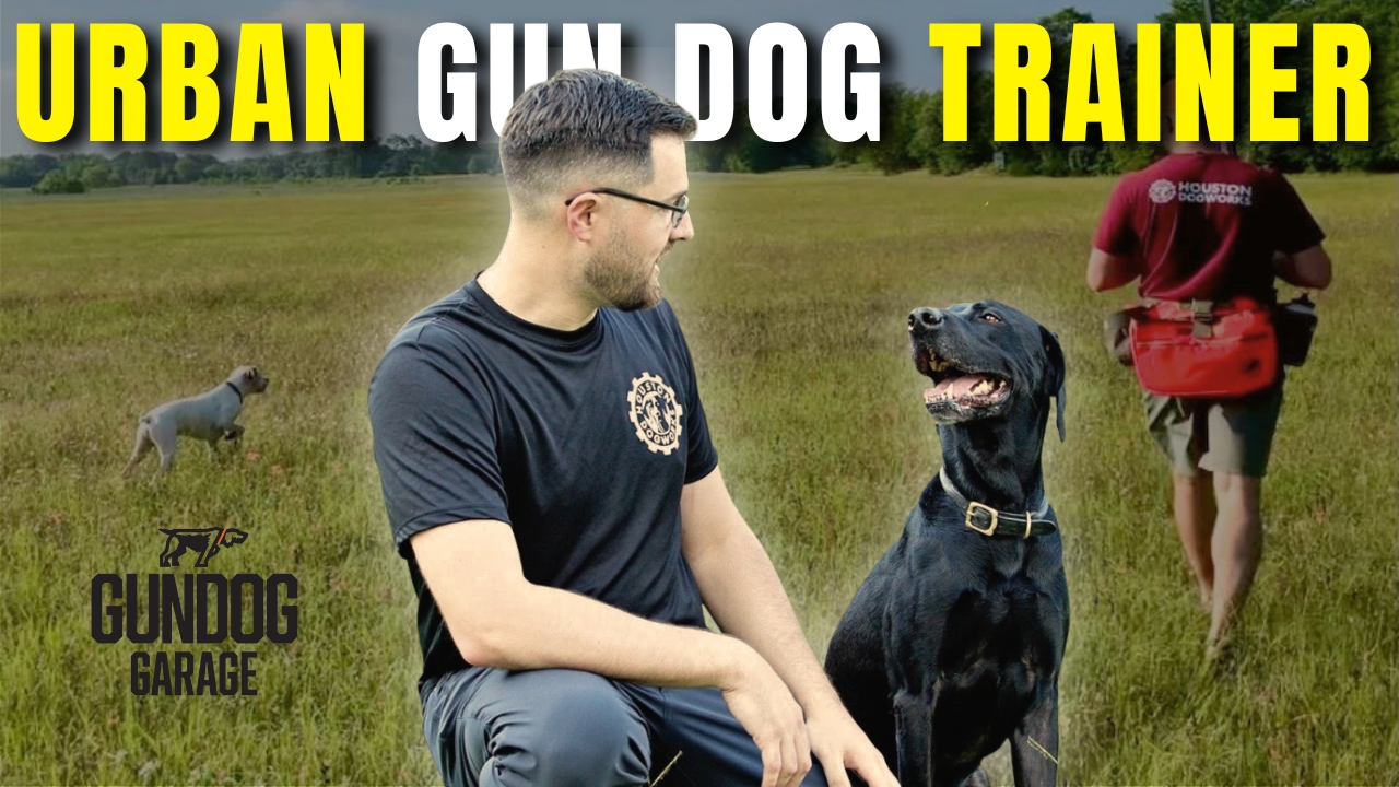 Gun Dog It Yourself