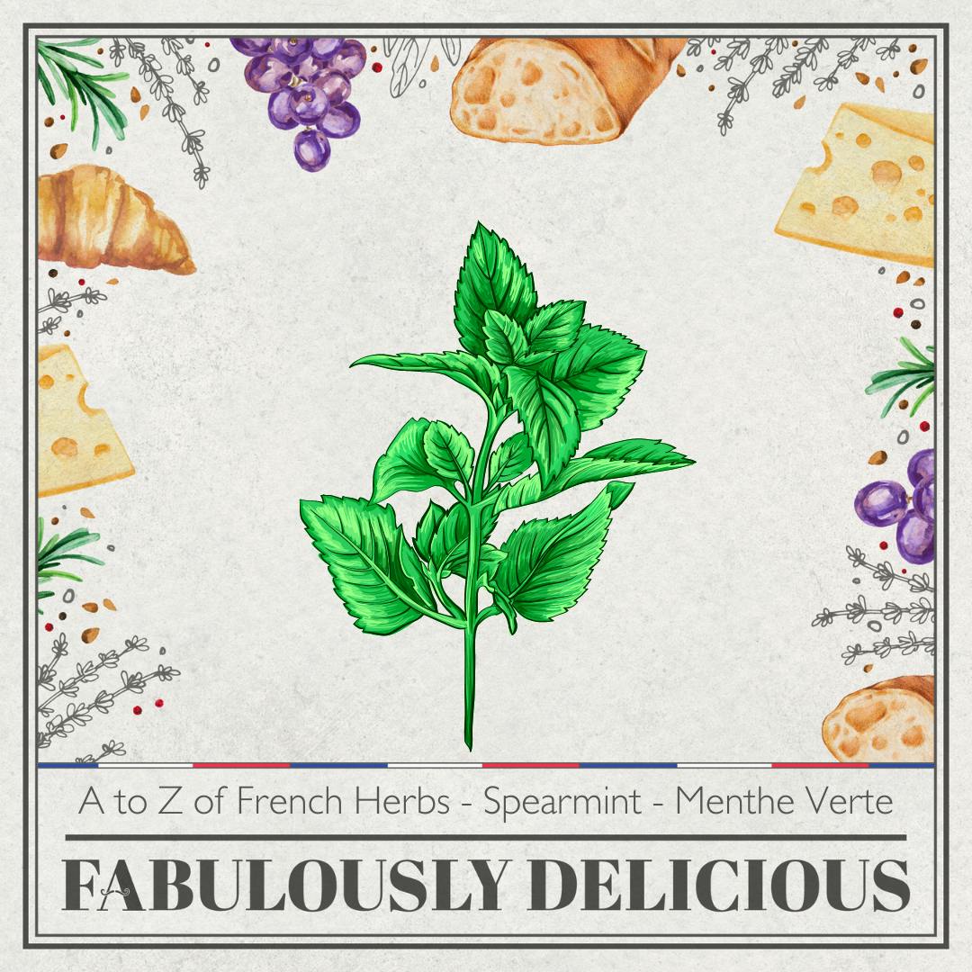 A to Z of French Herbs - Spearmint - Menthe Verte