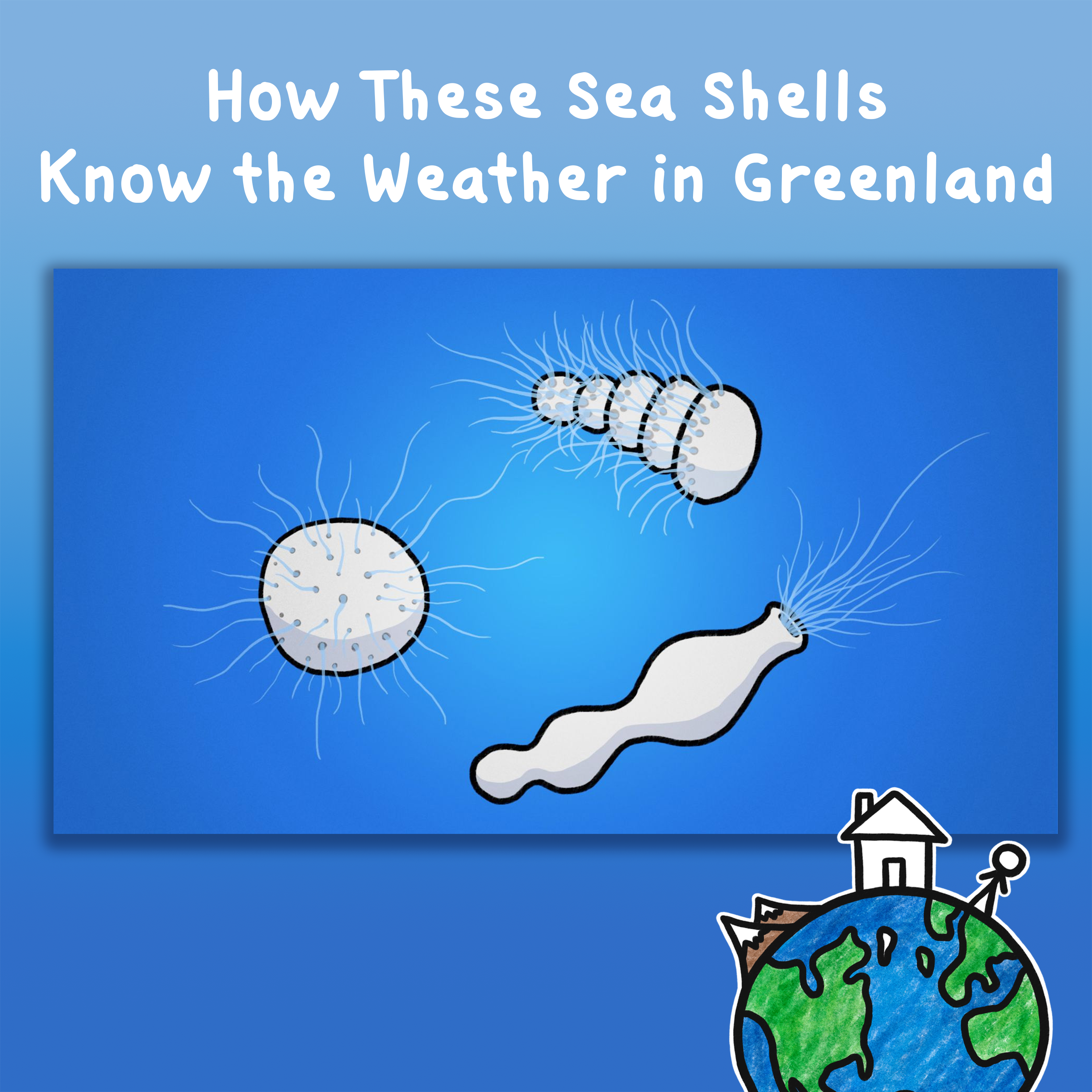 How These Sea Shells Know the Weather in Greenland