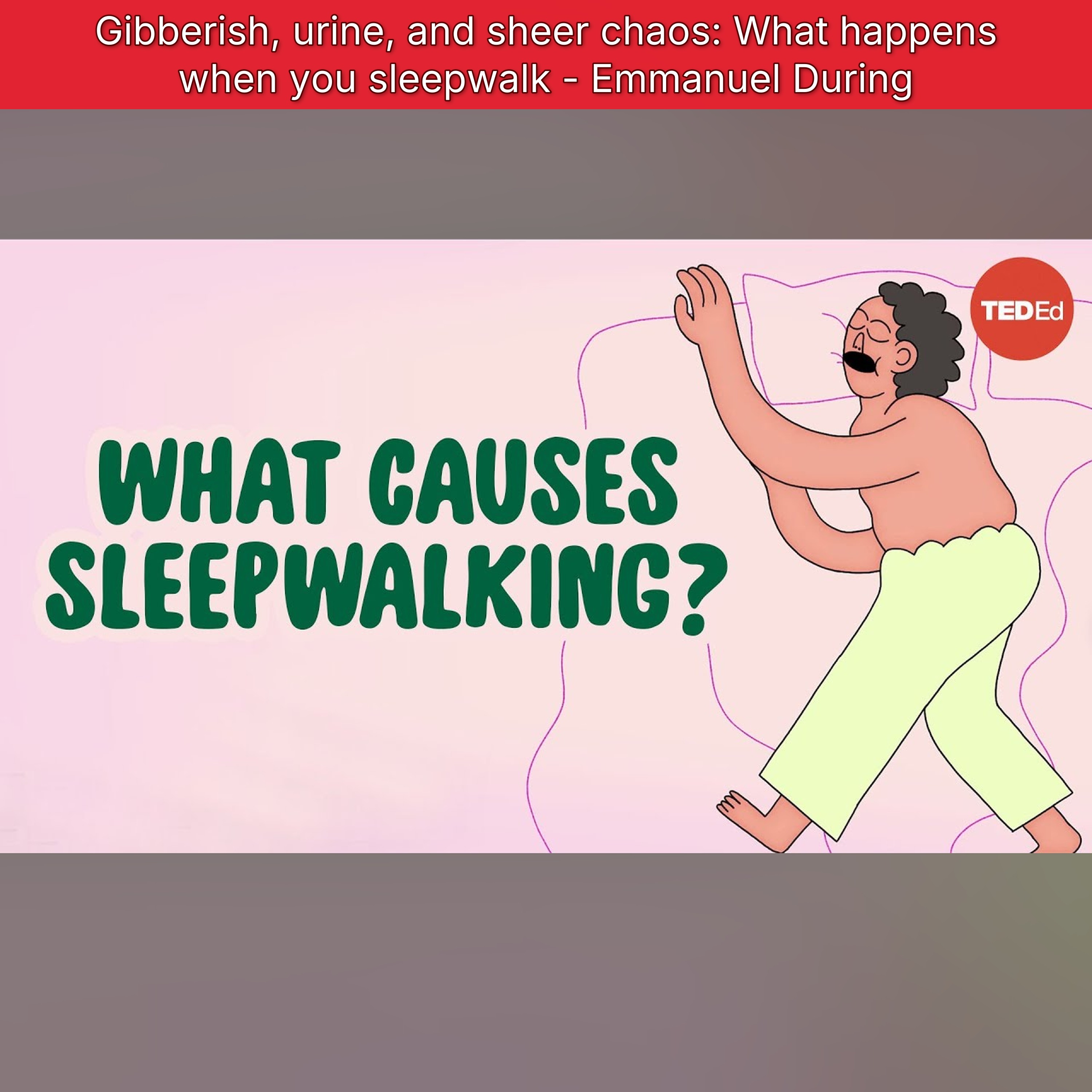 Gibberish, urine, and sheer chaos: What happens when you sleepwalk - Emmanuel During