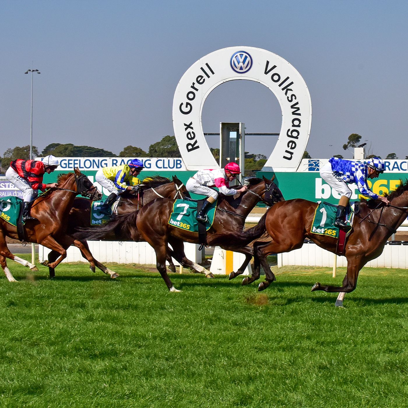 Geelong Race Club's Dan Salter chats to Andrew Kuuse re Sundays meeting & other Geelong RC news episode artwork