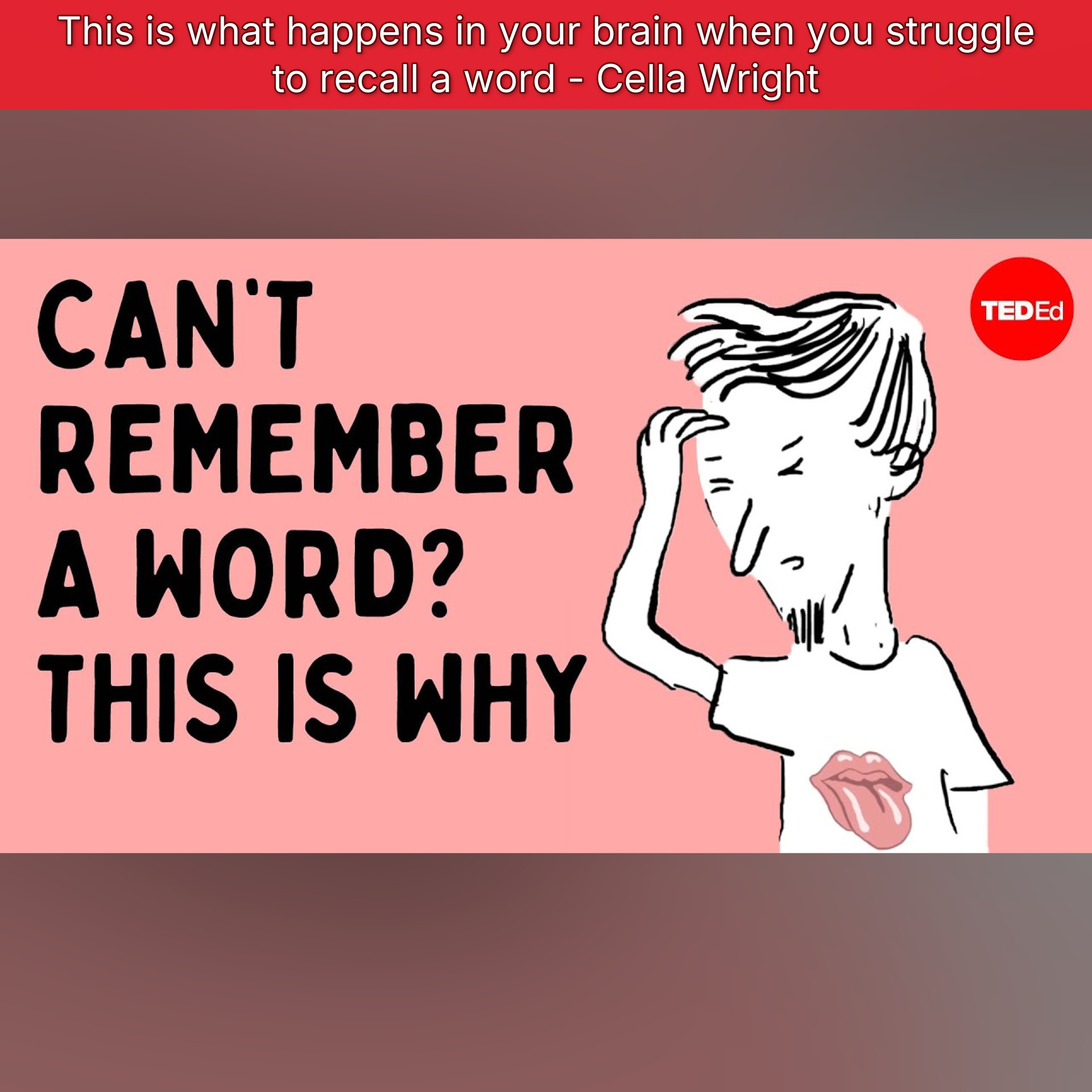 This is what happens in your brain when you struggle to recall a word - Cella Wright episode artwork
