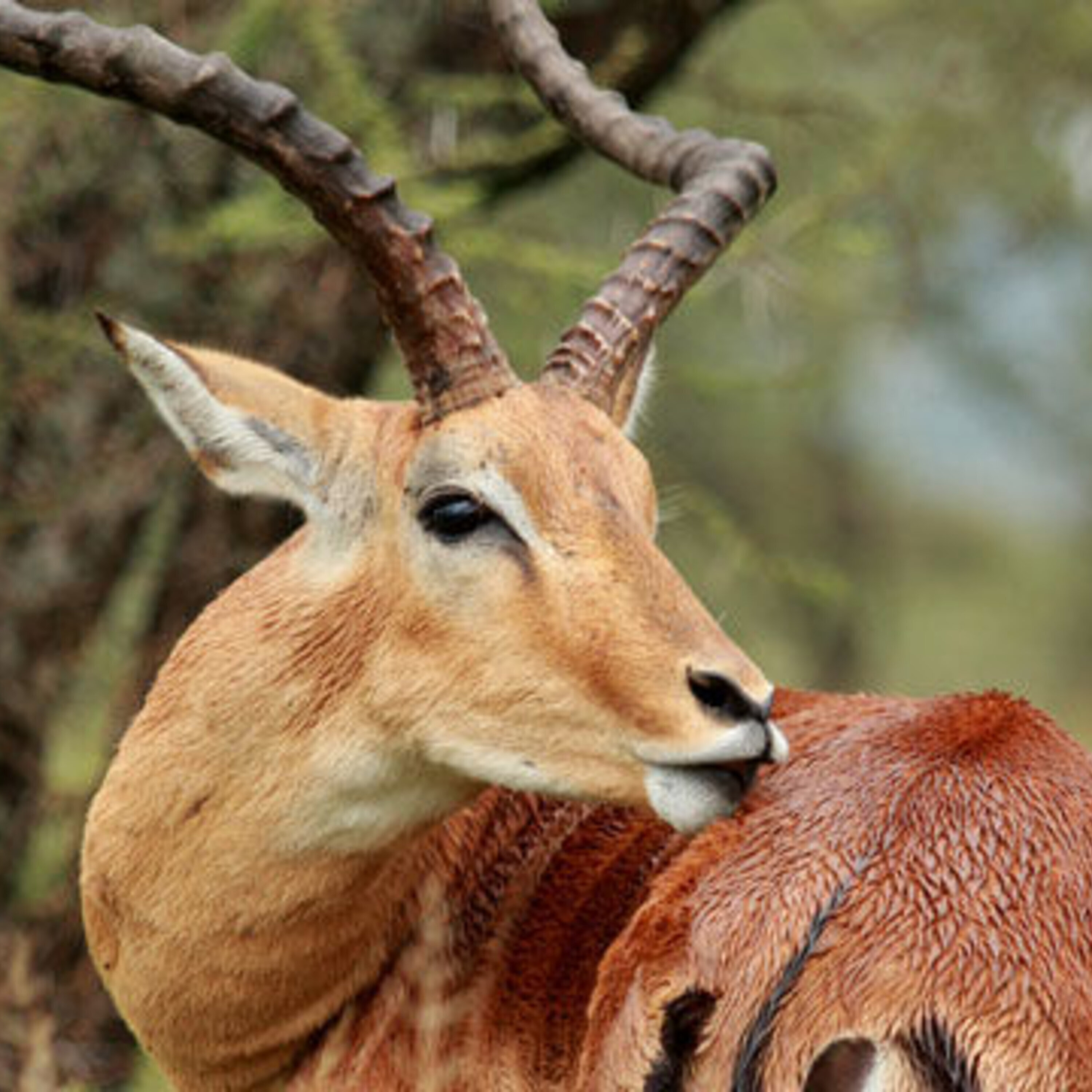 Plants and predators and a daily news roundup (17 October 2014)