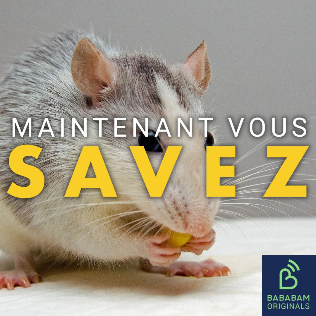 Qu'est-ce que l'effet Rosenthal ?