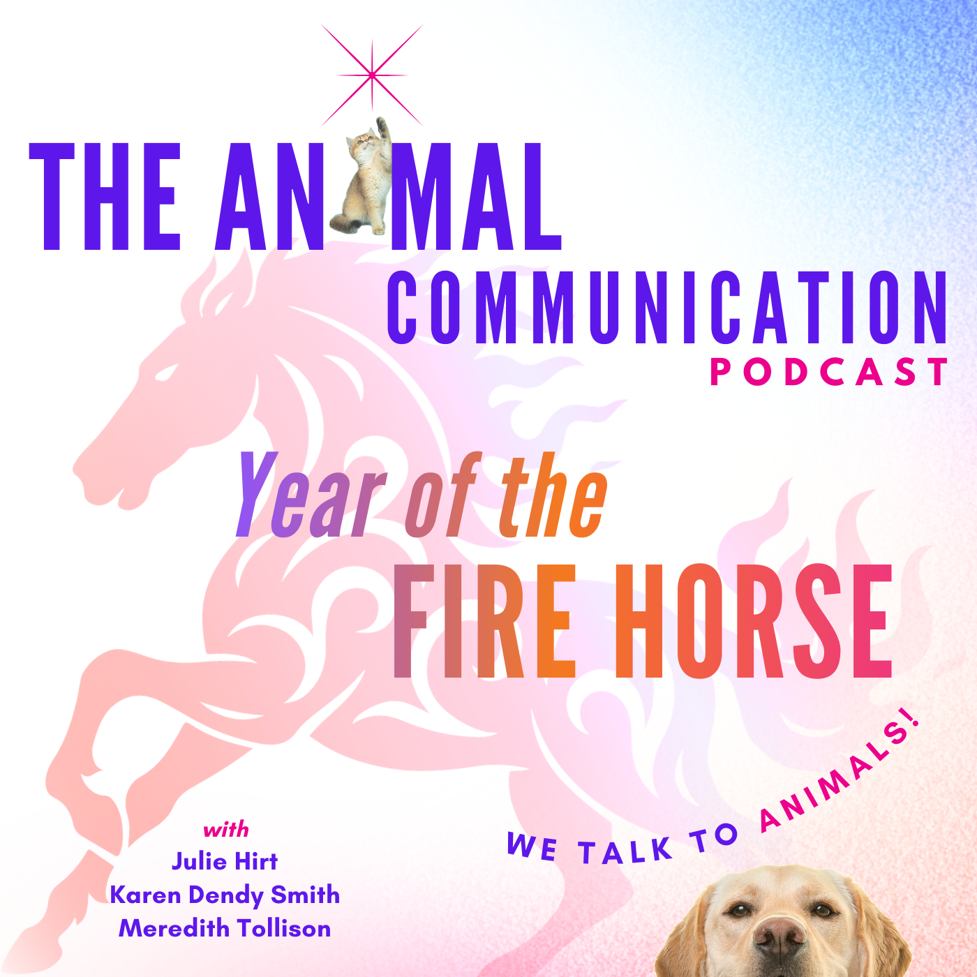 The Year of the Fire Horse