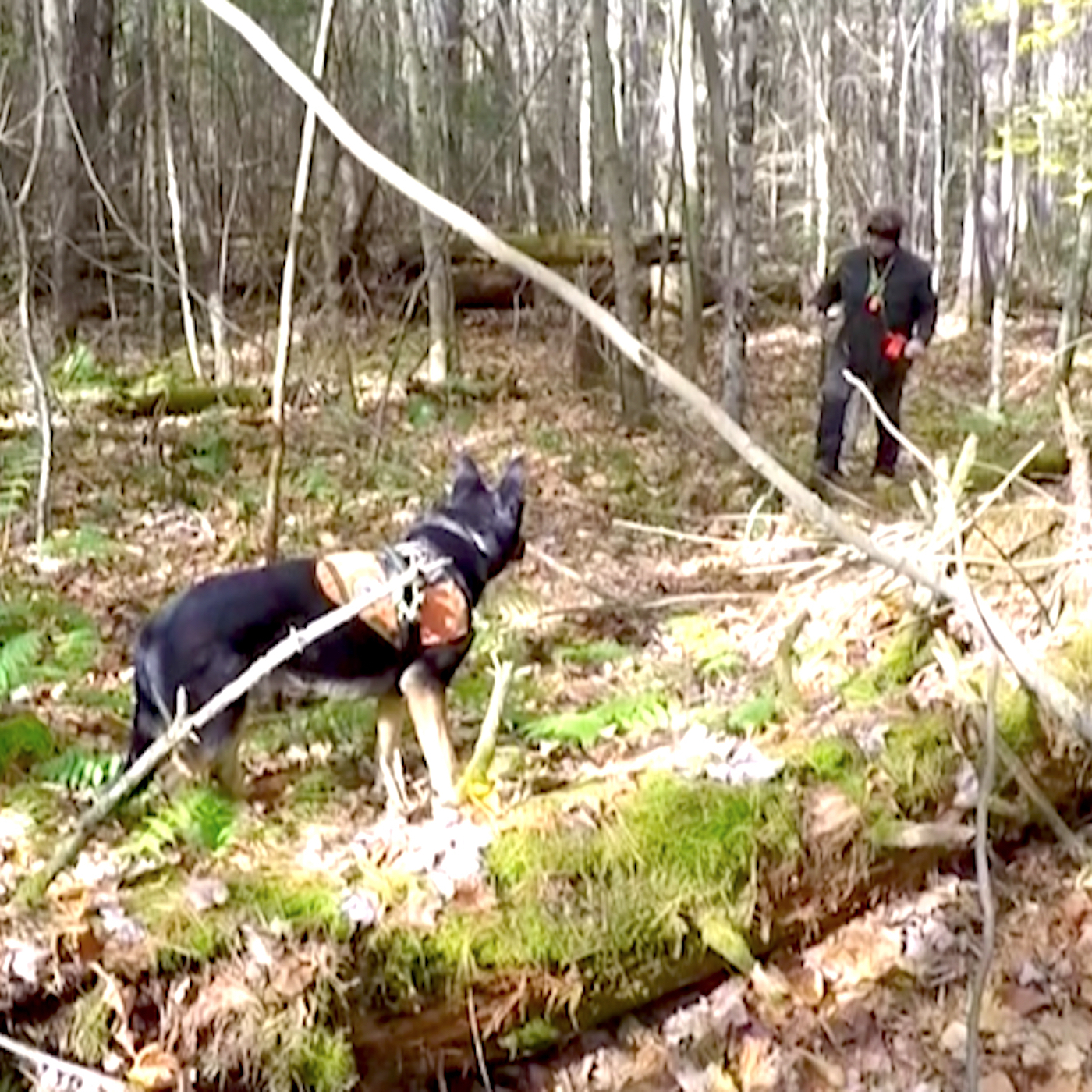 101 // Maura Murray - Part 90